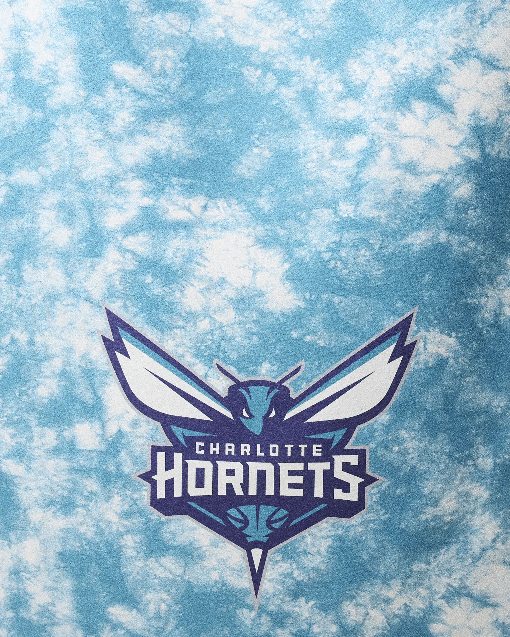 Hornets Flash - Image 2