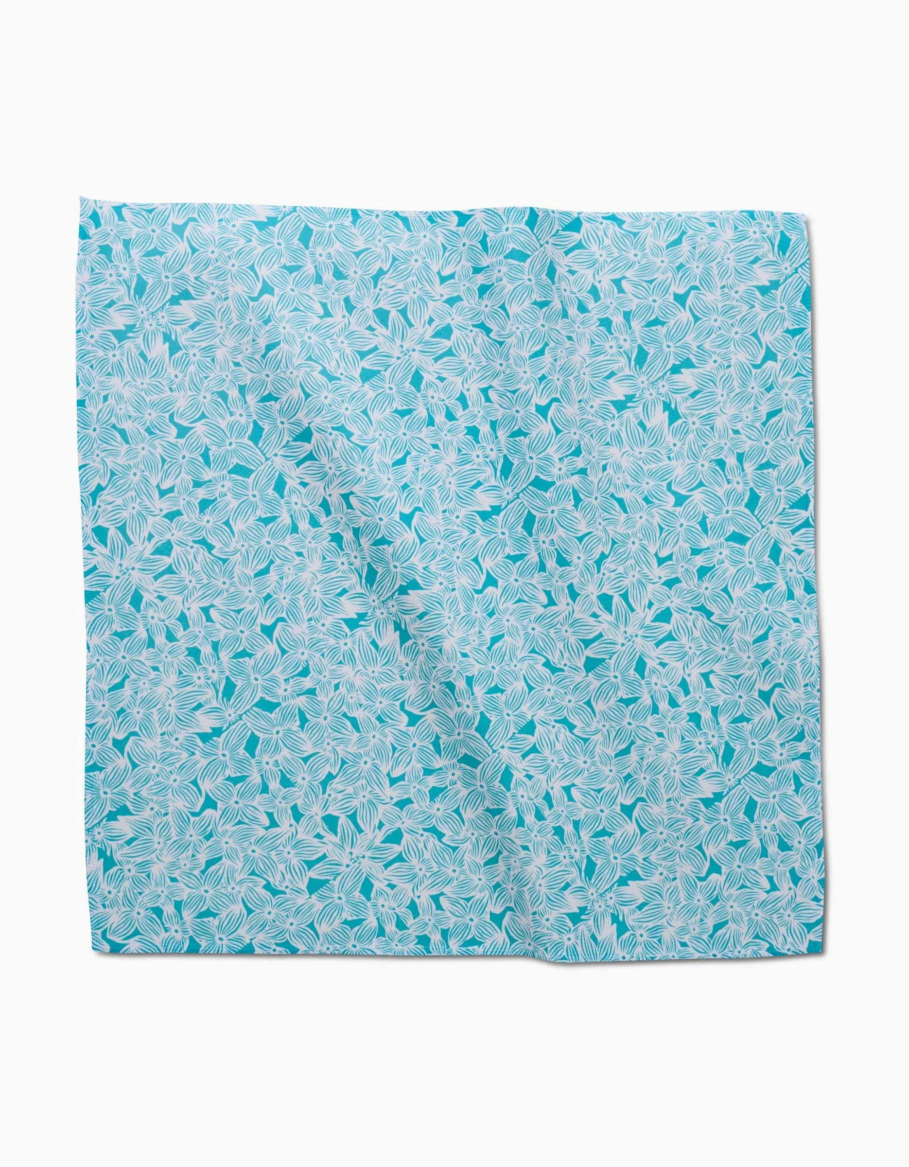 Hydrangea - Image 4