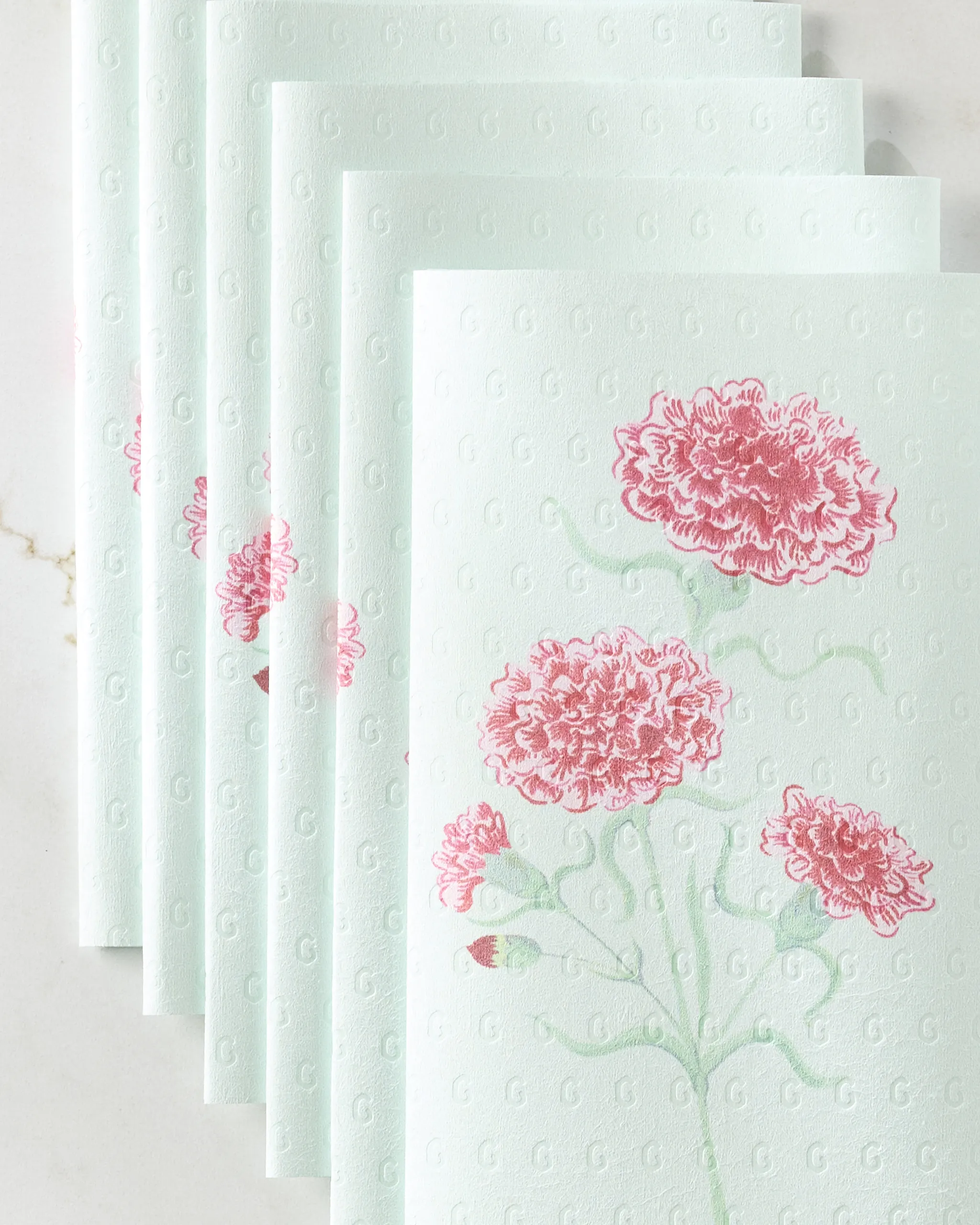 January Carnation - Image 2