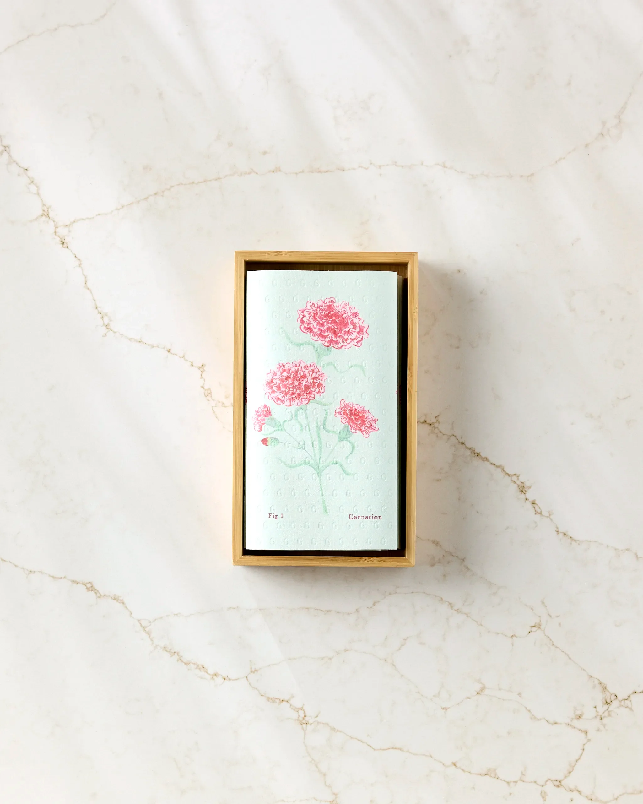 January Carnation - Image 3