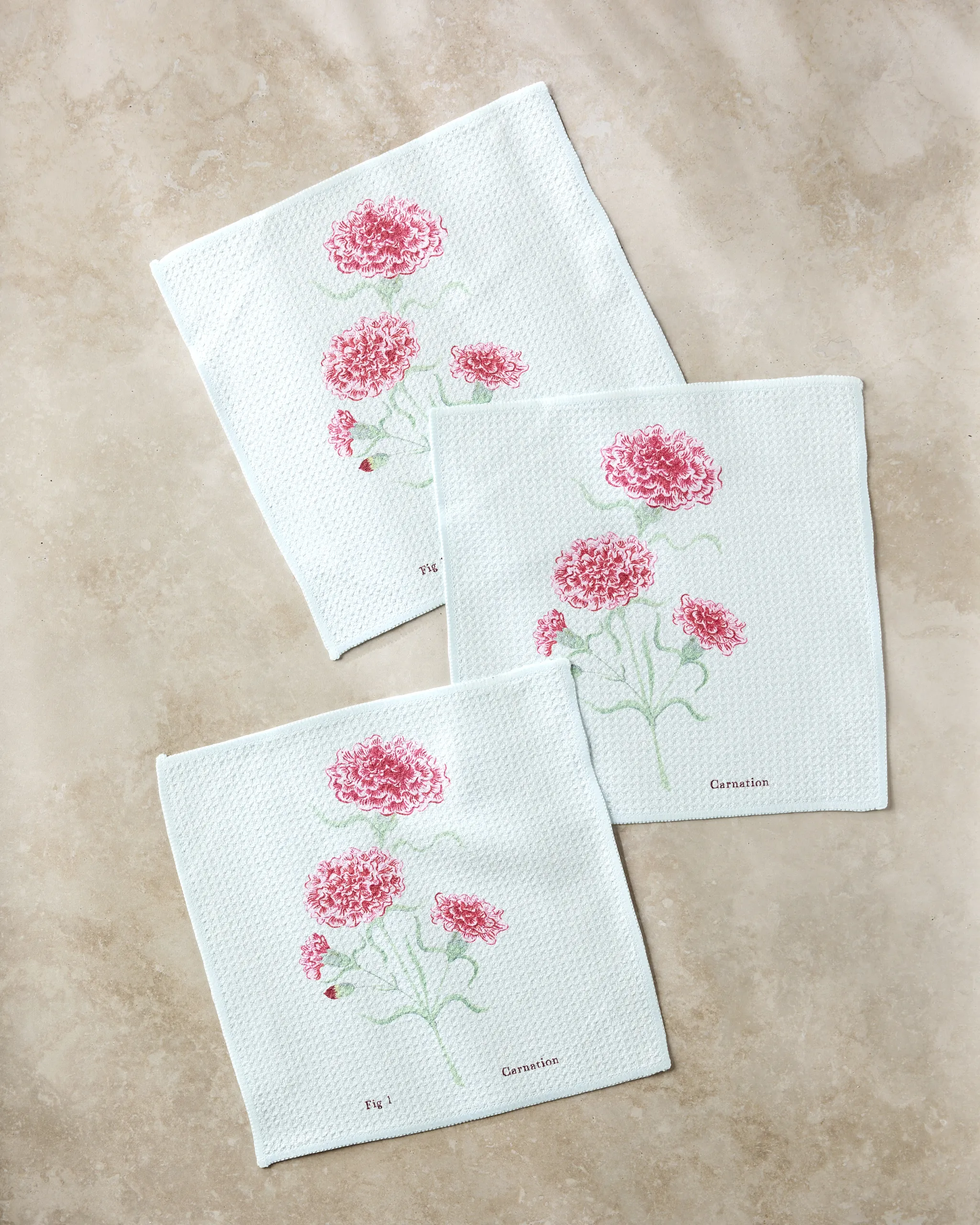 January Carnation