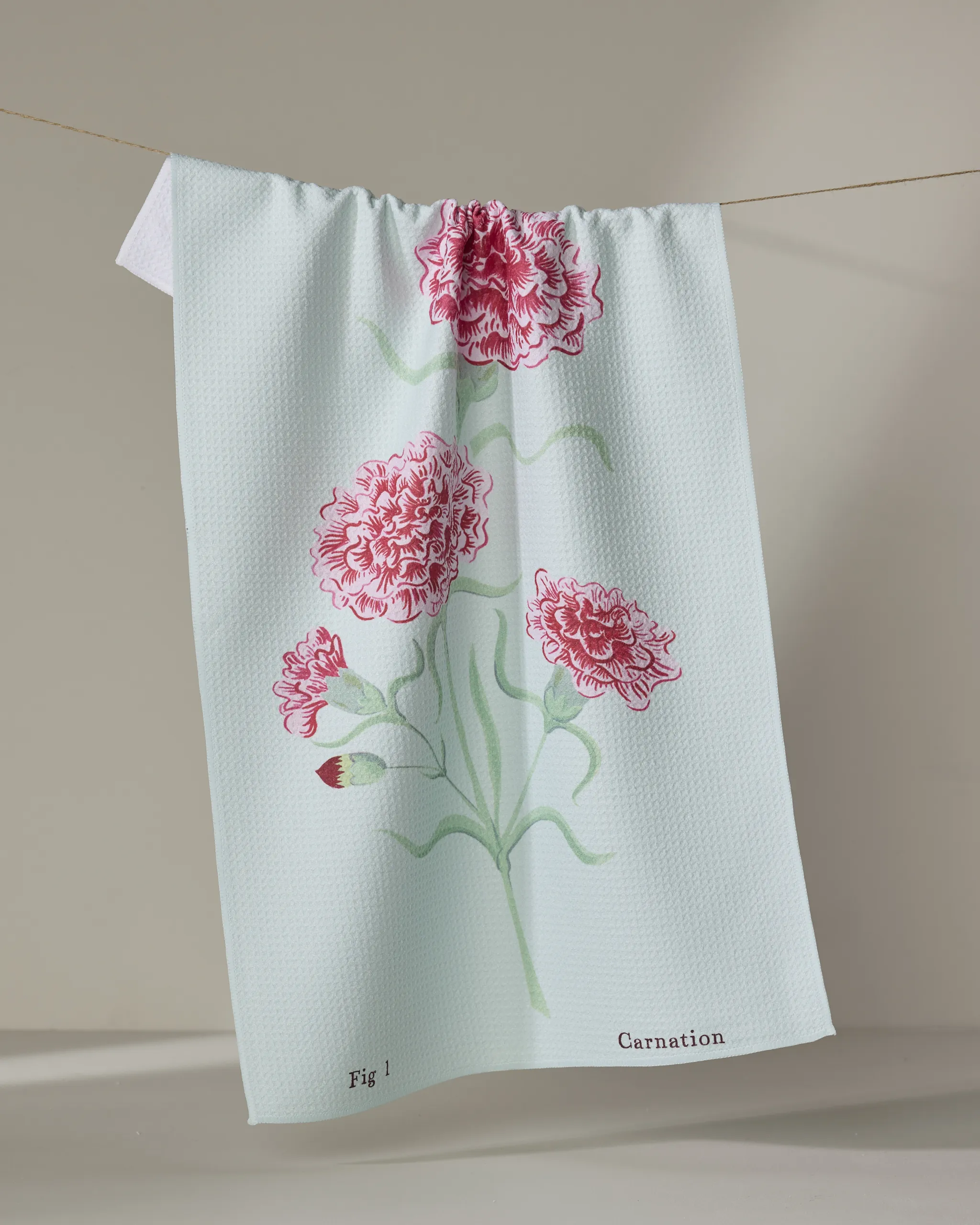January Carnation