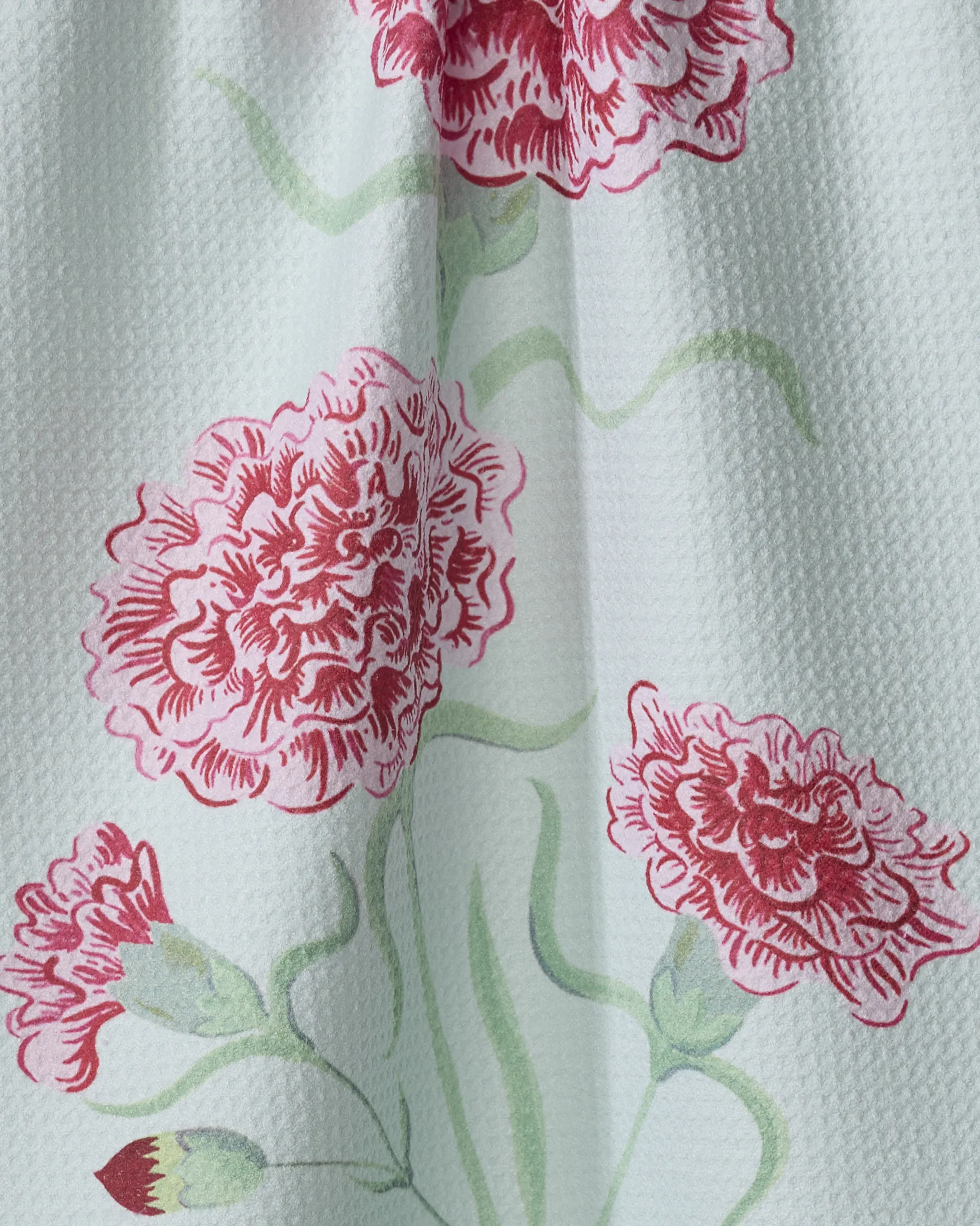 January Carnation - Image 2
