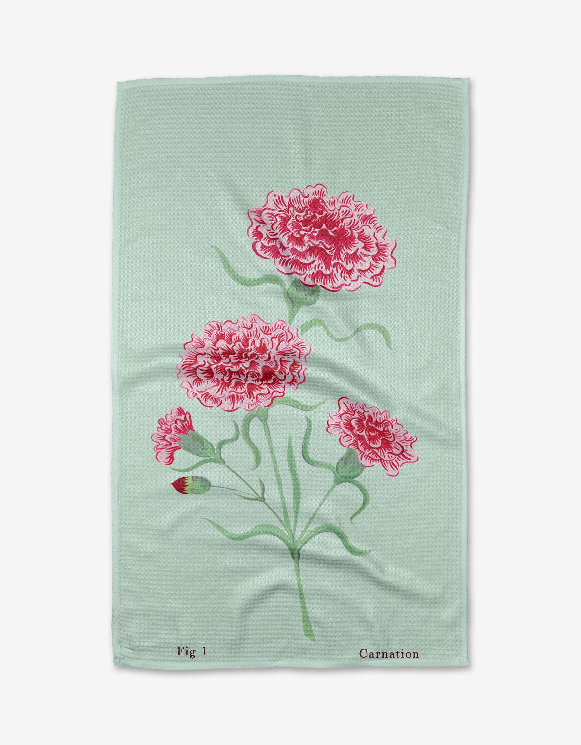 January Carnation - Image 3