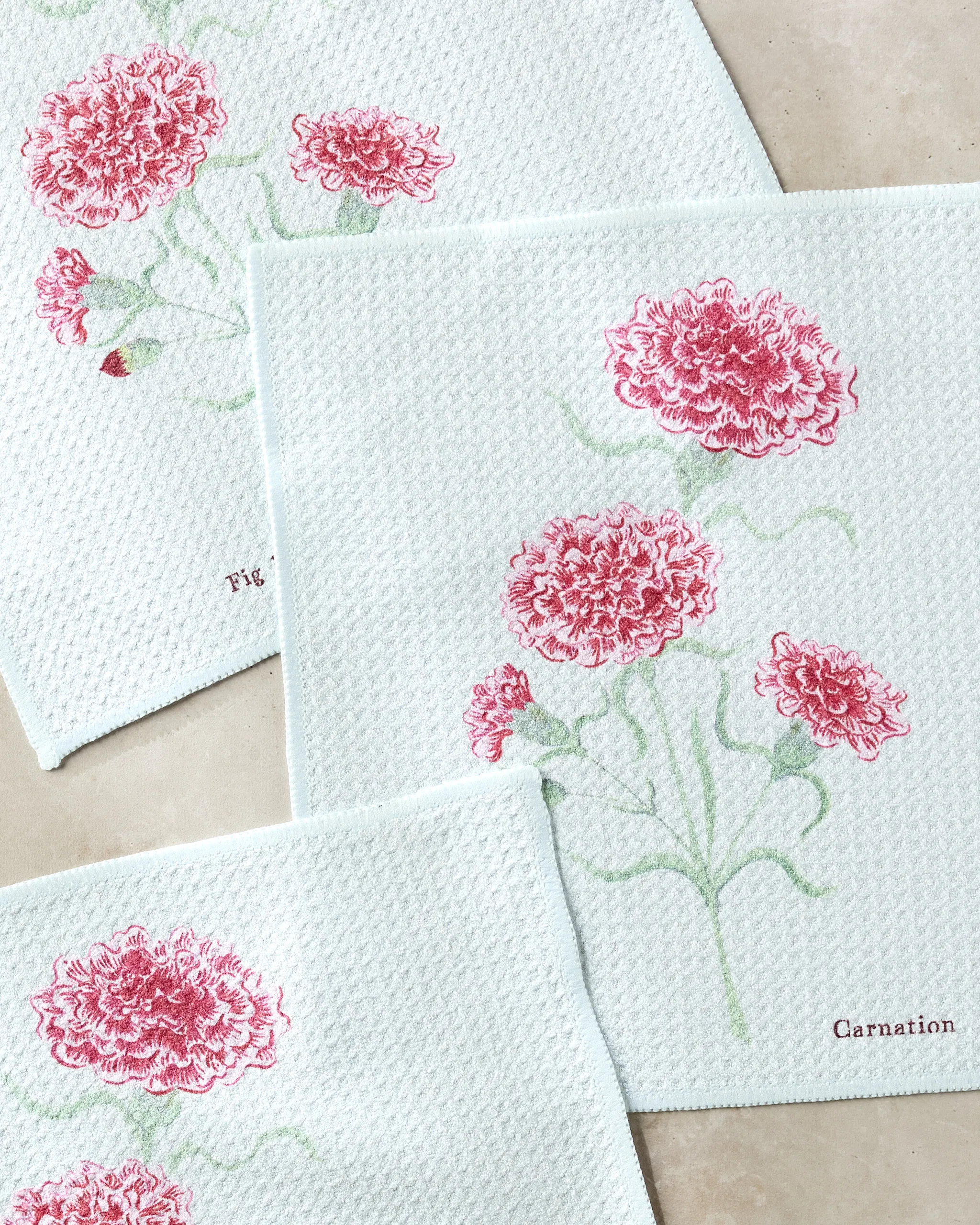 January Carnation - Image 2