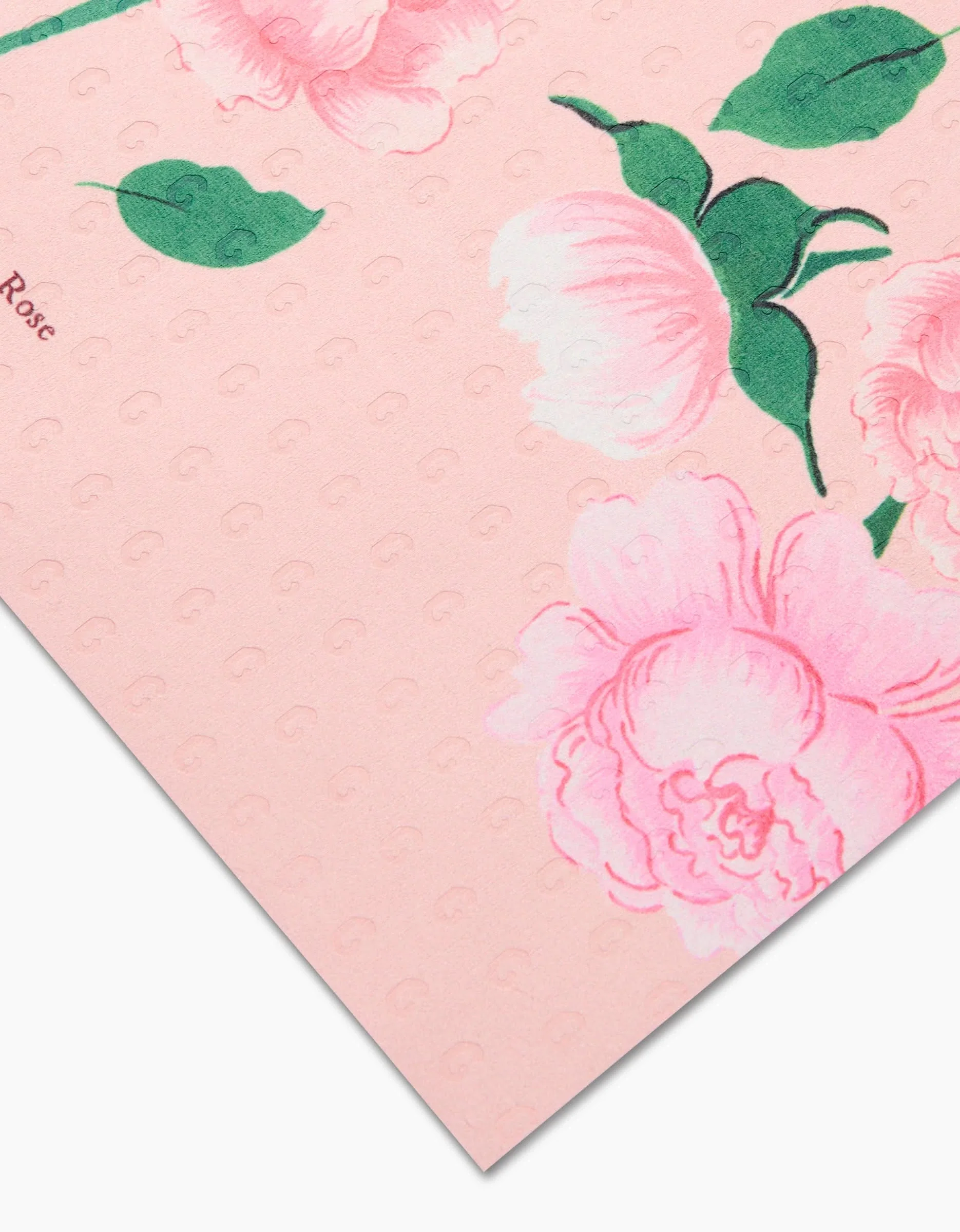 June Roses - Image 5