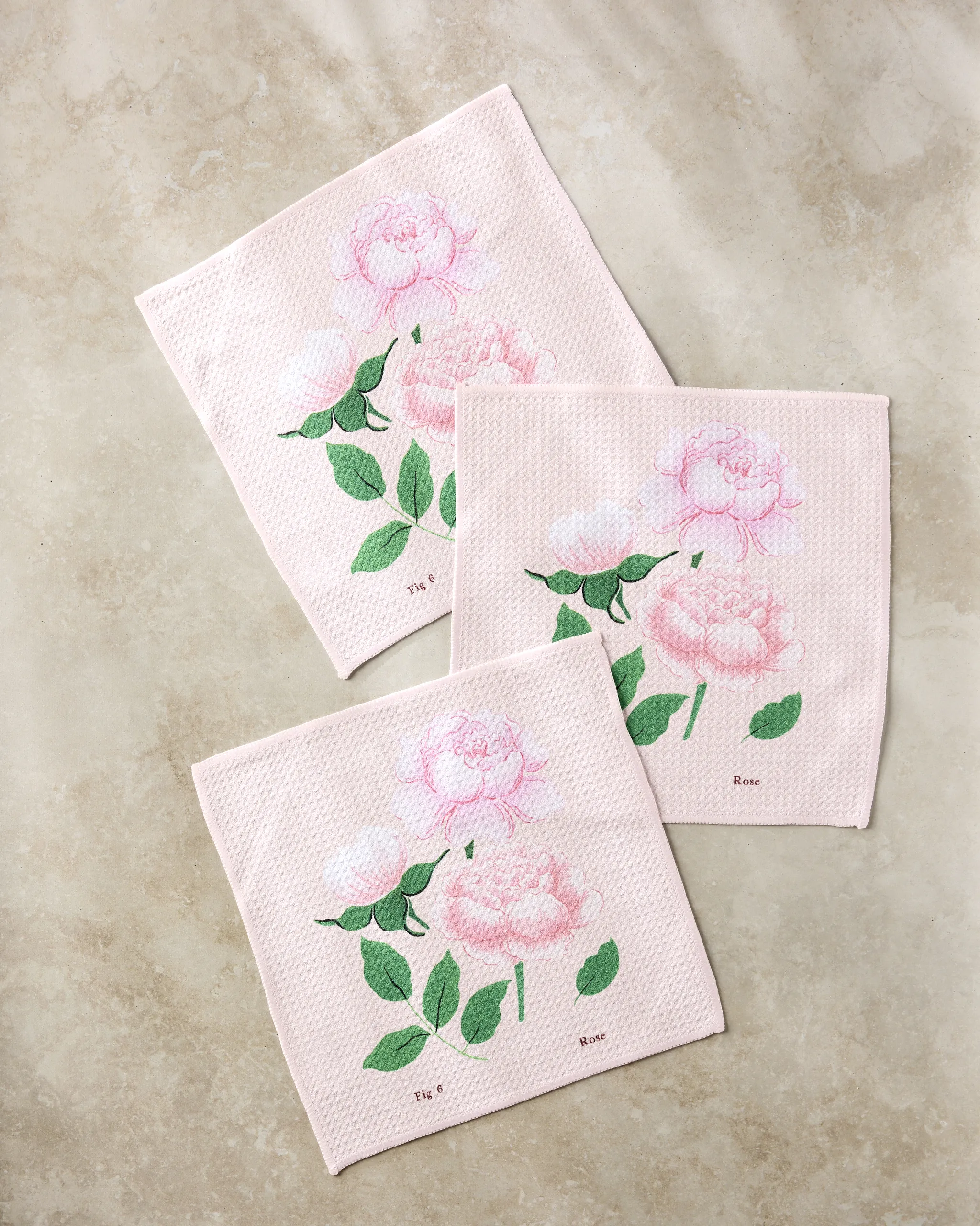 June Roses