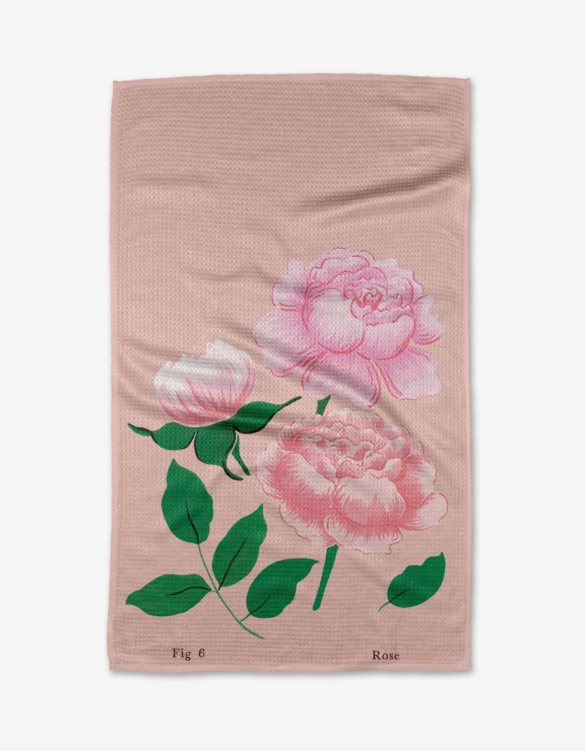 June Roses - Image 3