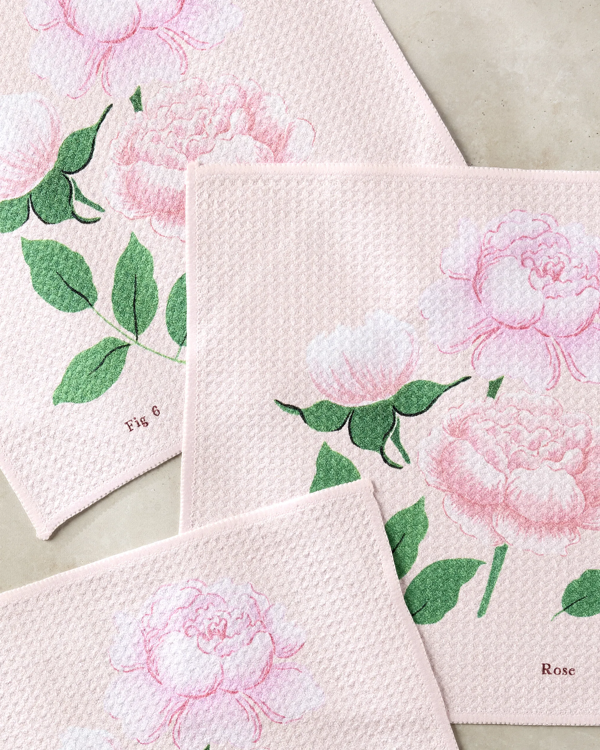 June Roses - Image 2
