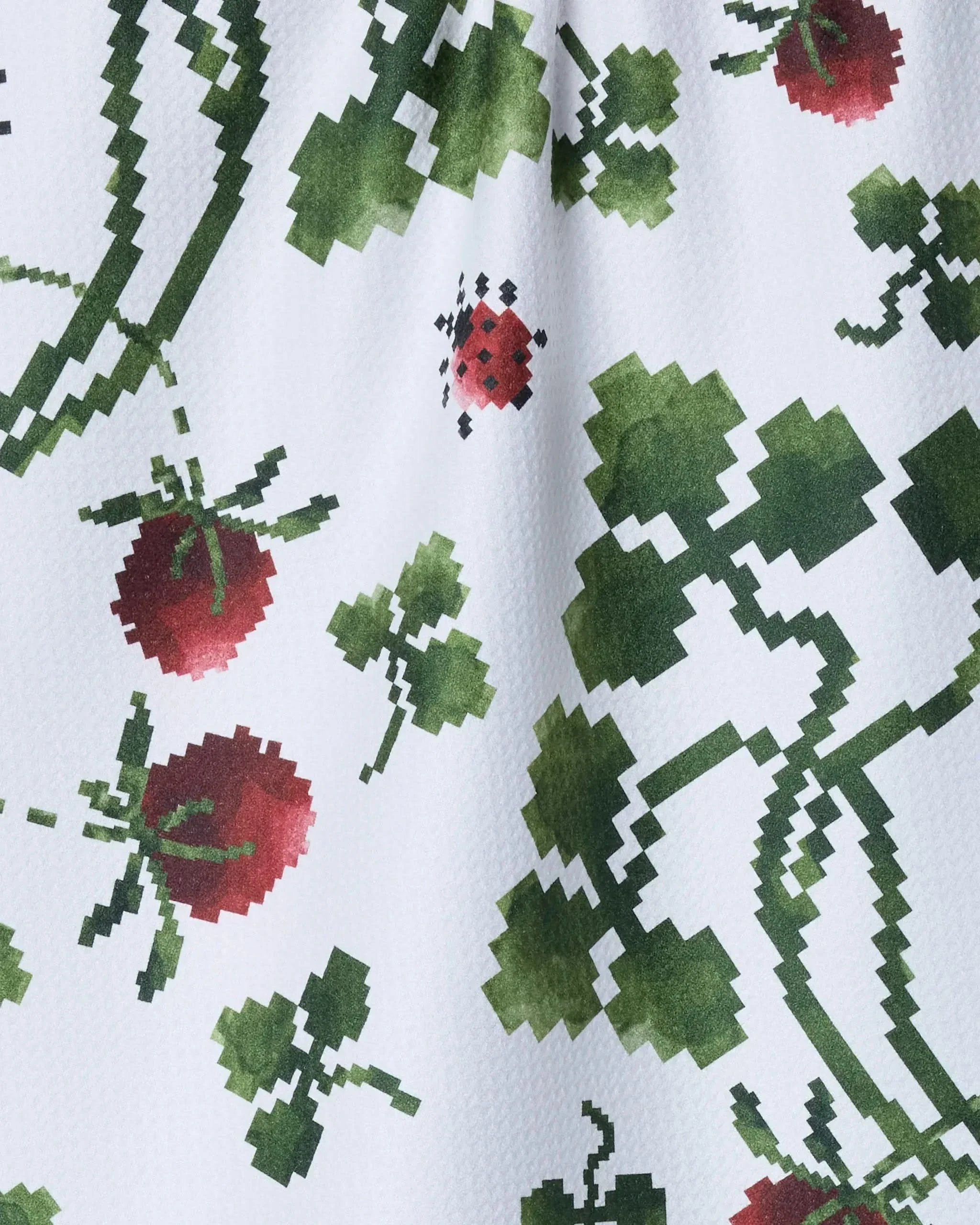Ladybug Fields - Image 2