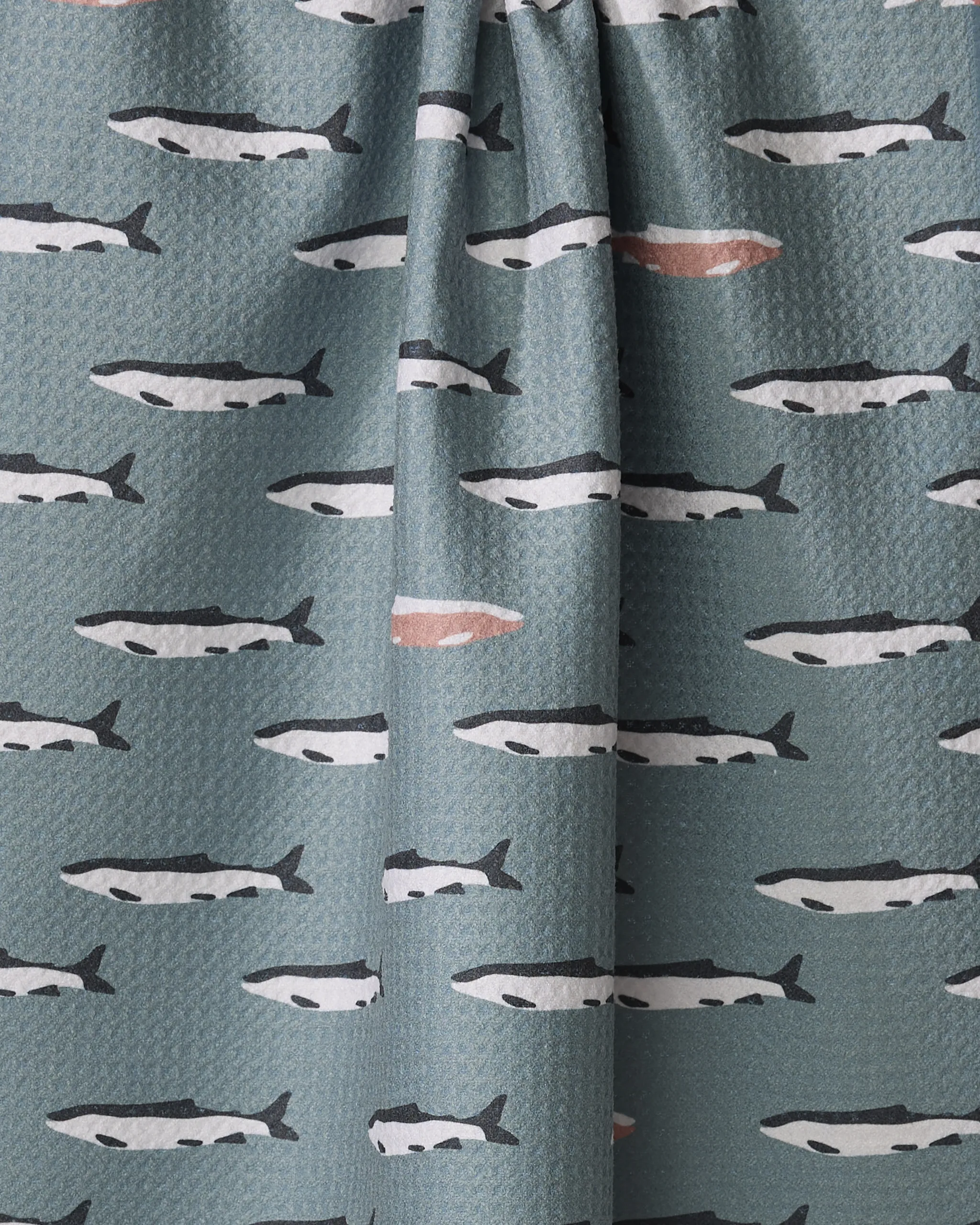 Lake Fish - Image 2