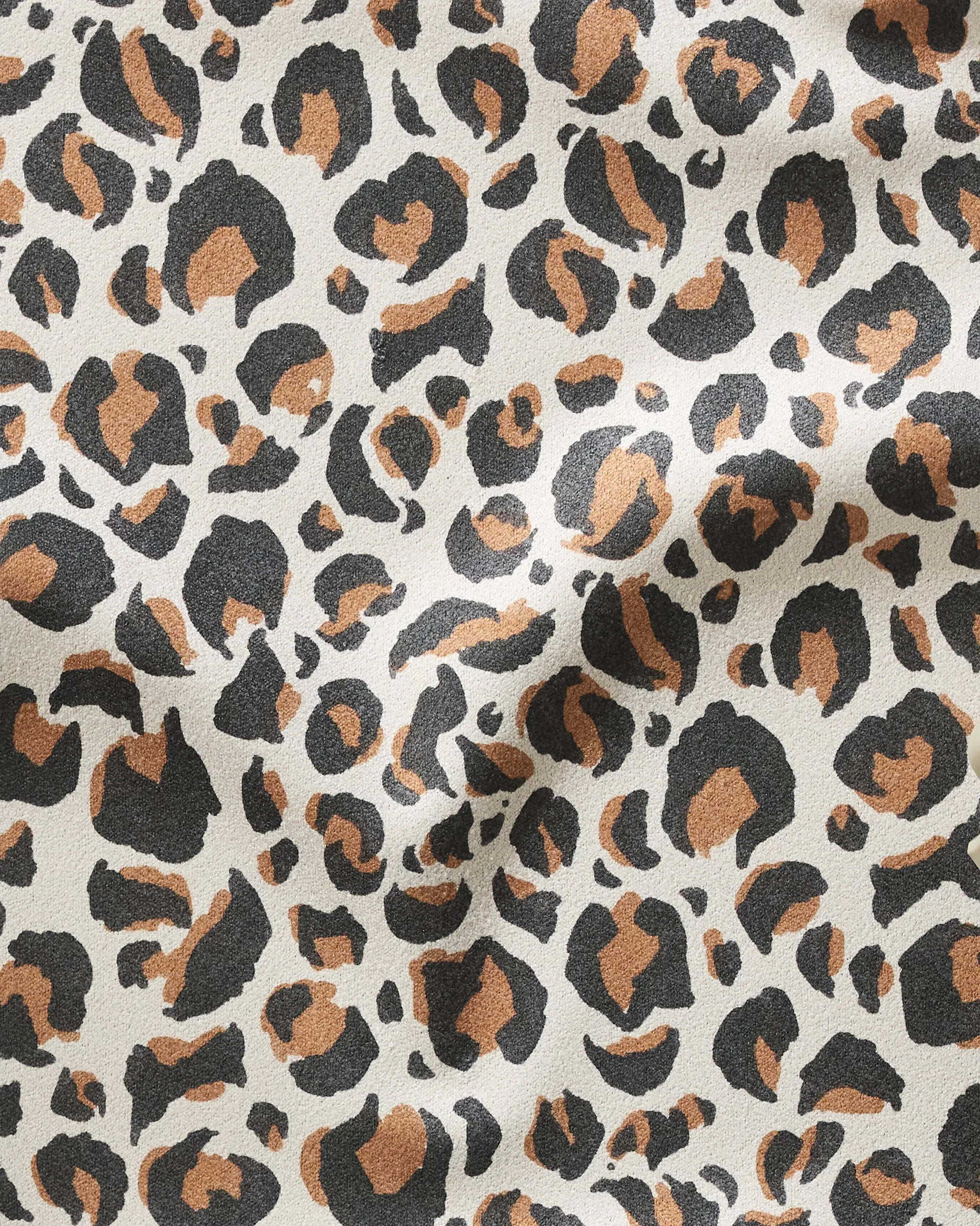 Leopard - Image 2