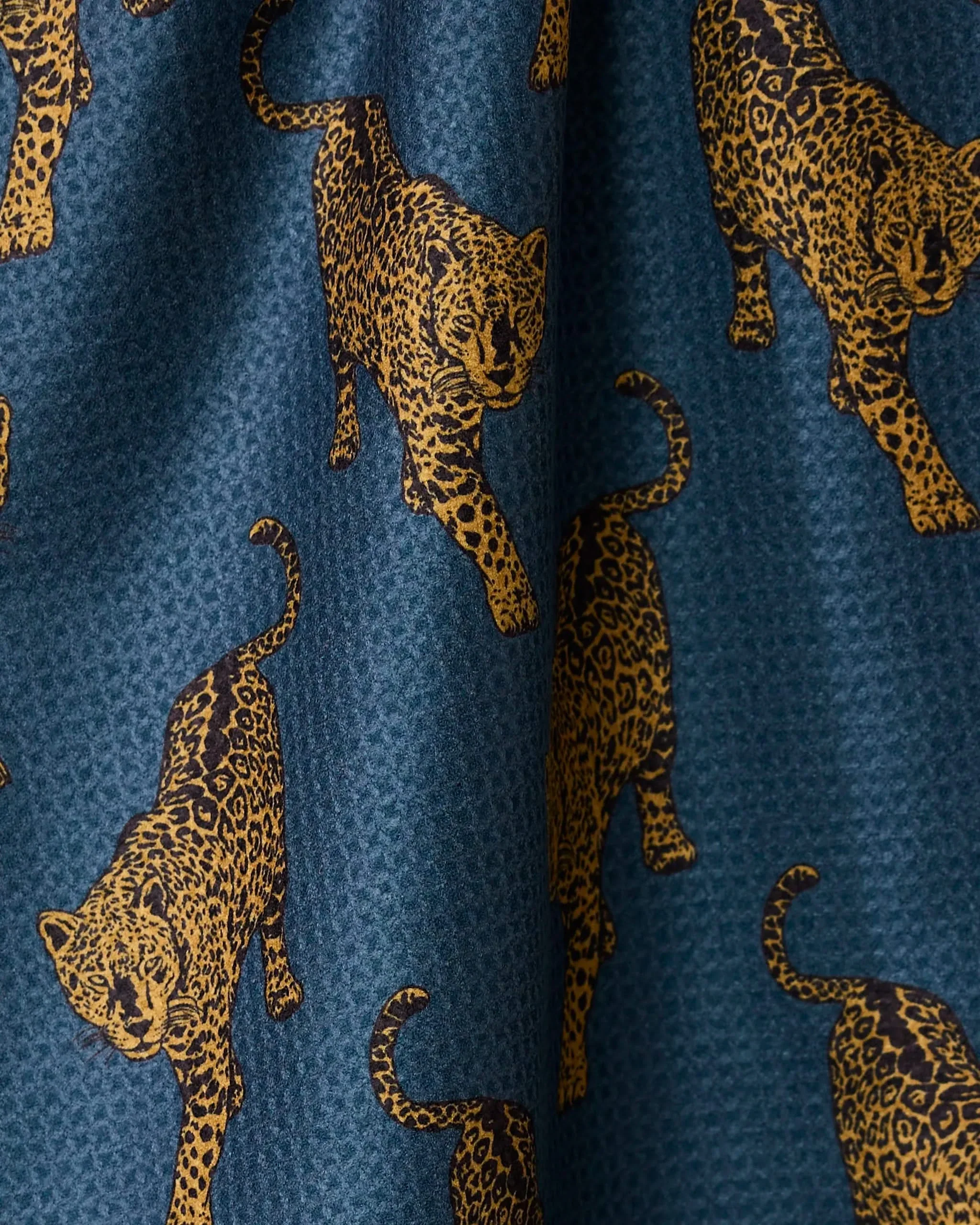 Leopard Lovin - Image 3