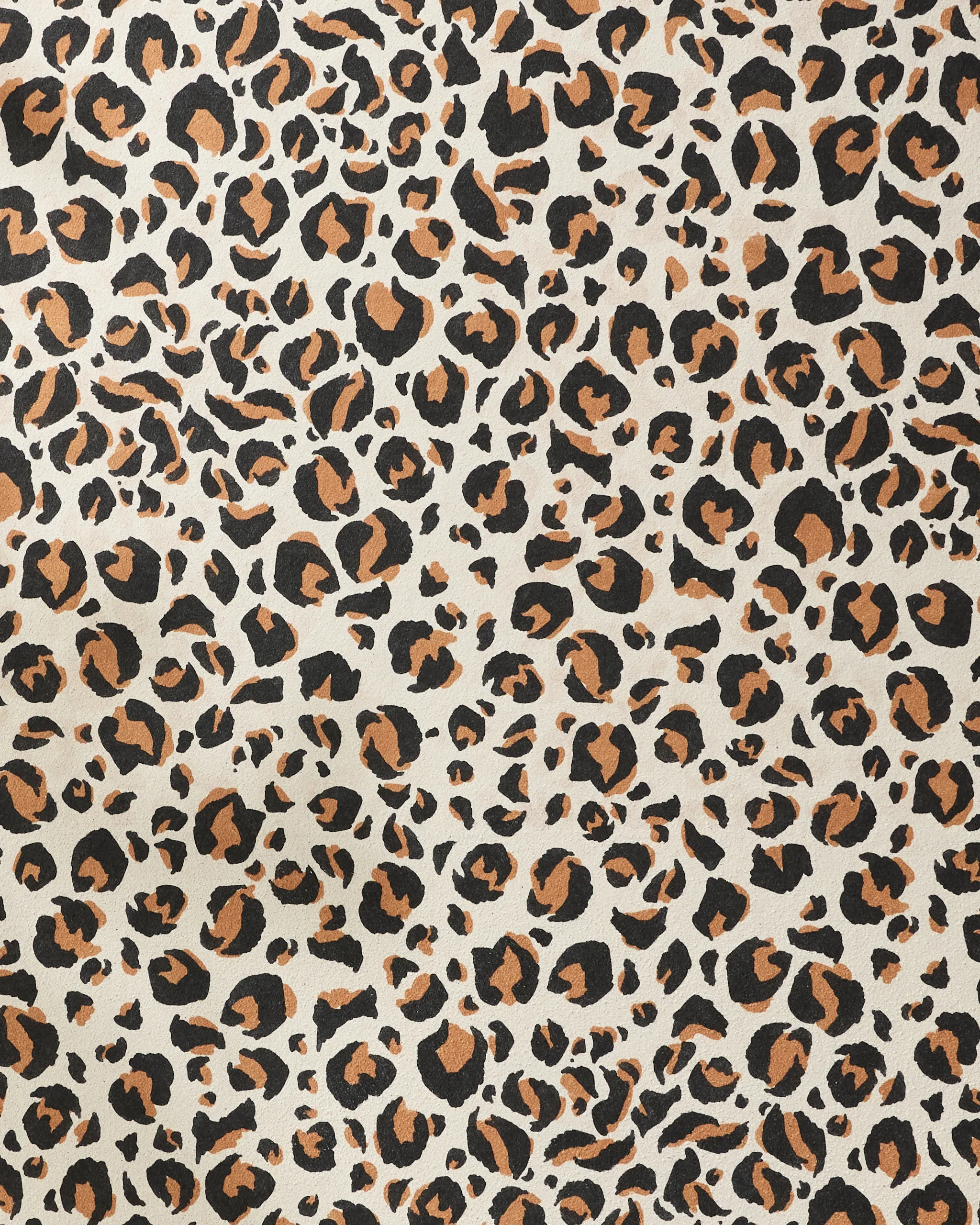 Leopard - Image 2