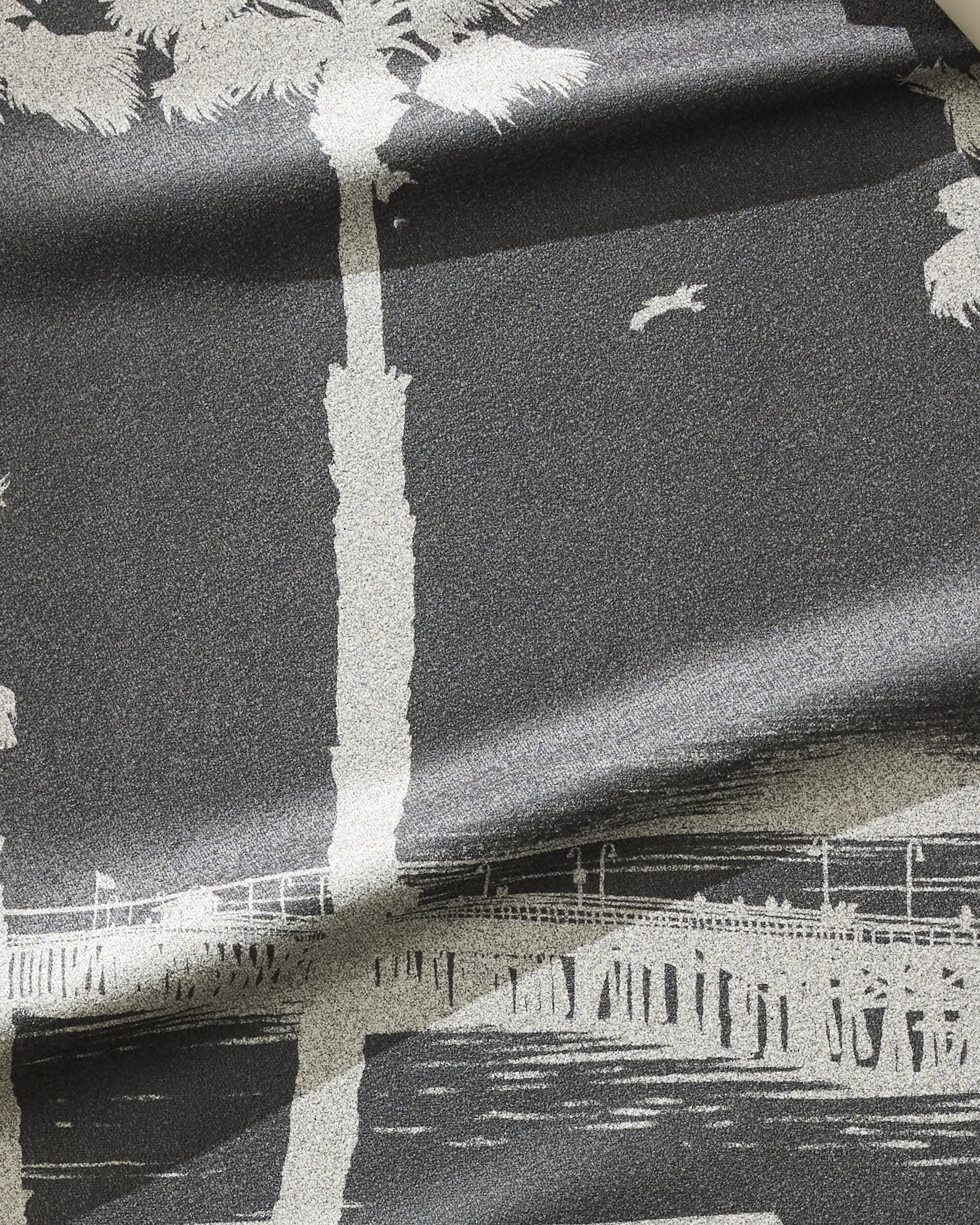 Lost In Clemente - Image 2