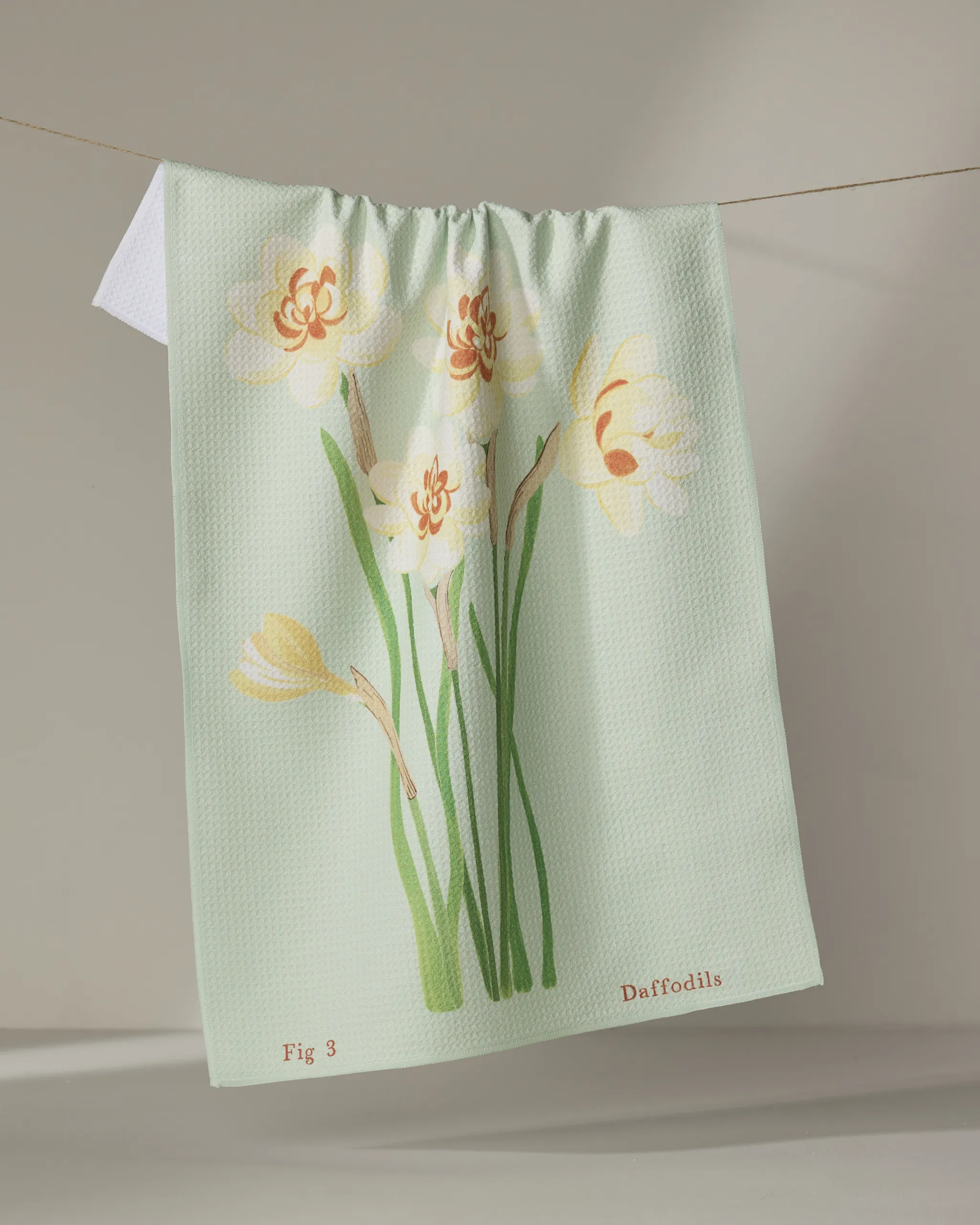 March Daffodils