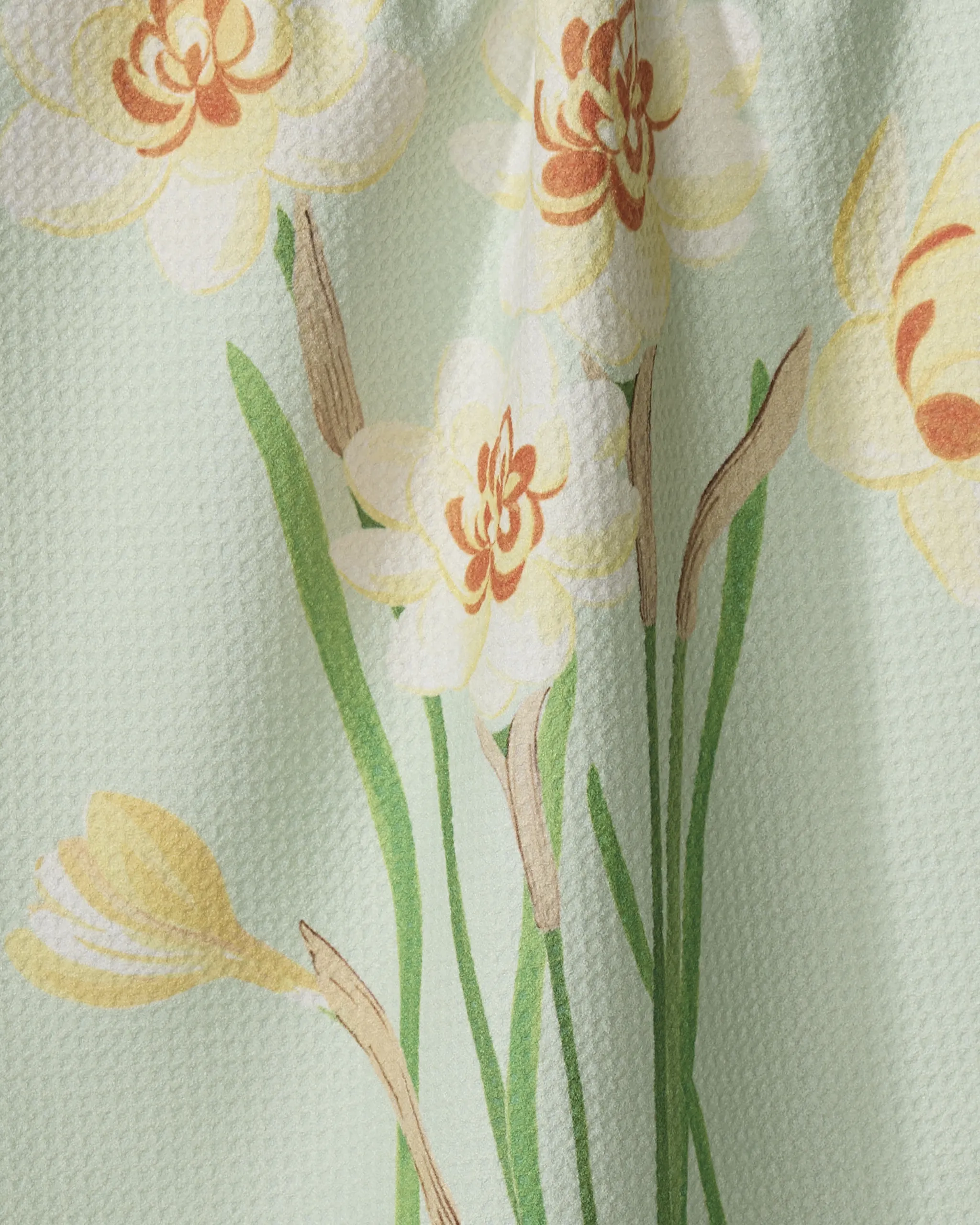 March Daffodils - Image 2