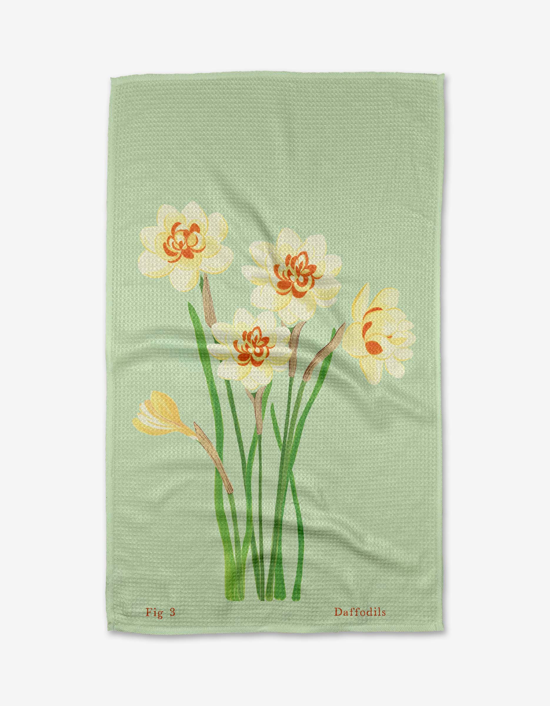 March Daffodils - Image 3