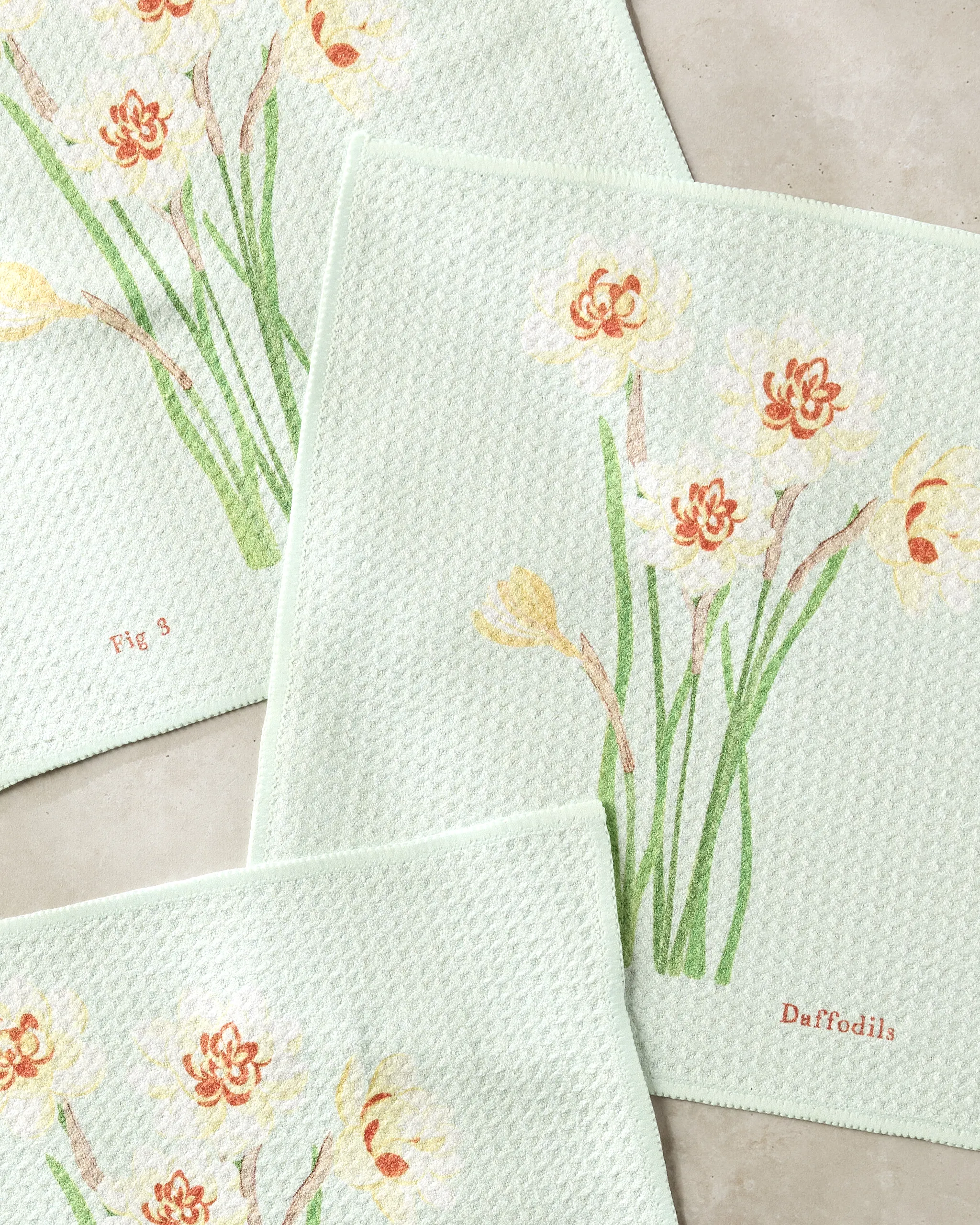 March Daffodils - Image 2