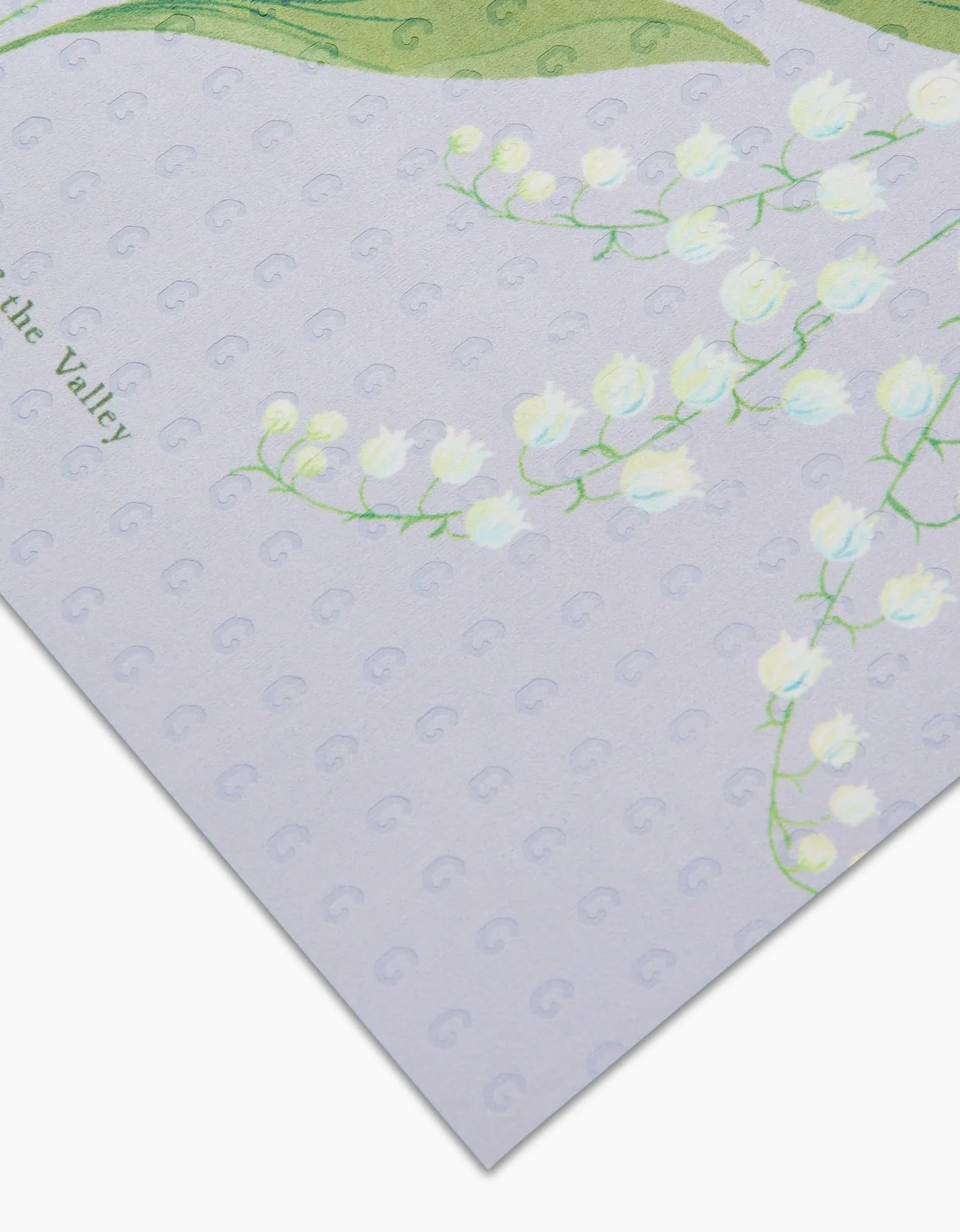 May Lilly Of The Valley - Image 4