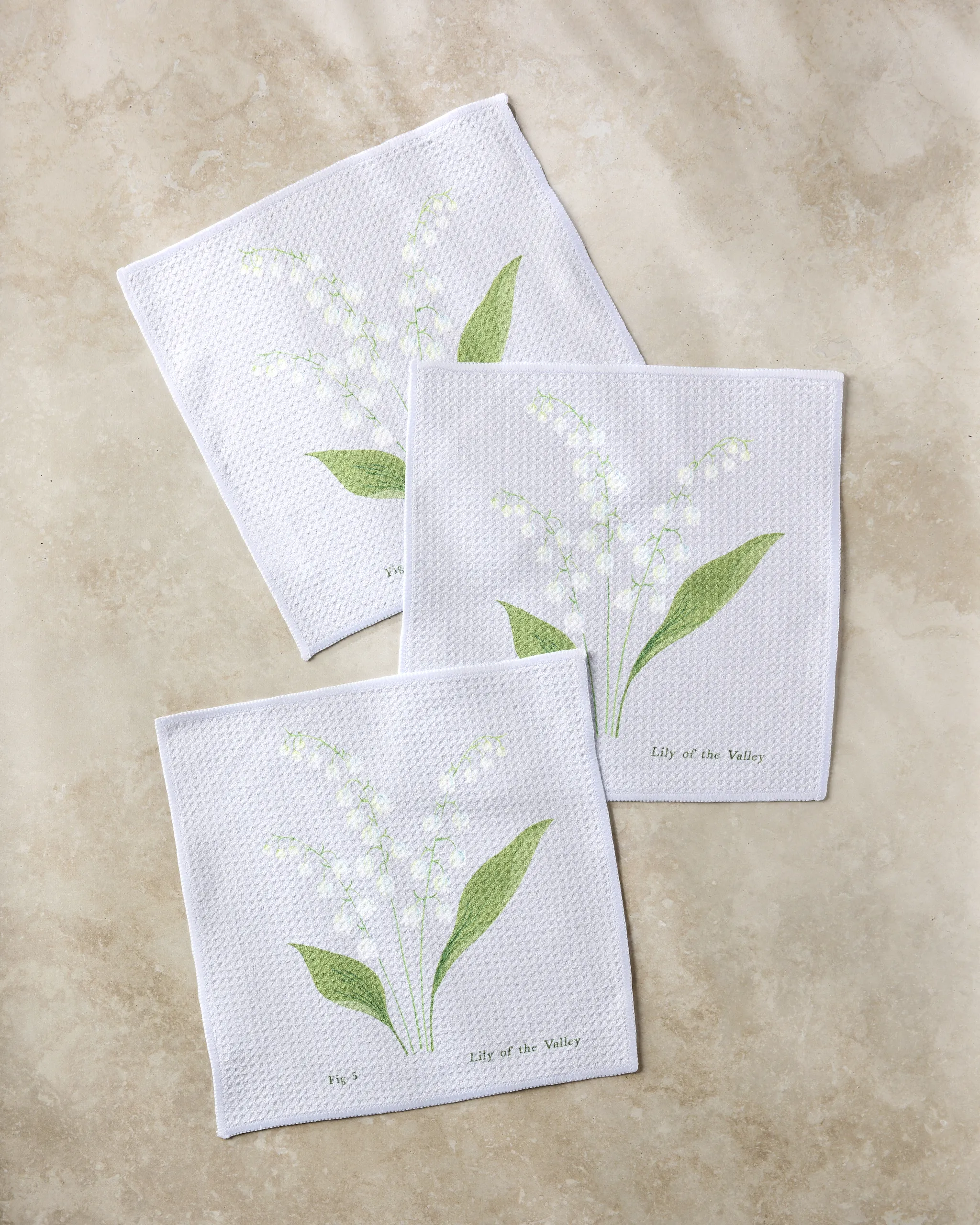 May Lilly Of The Valley