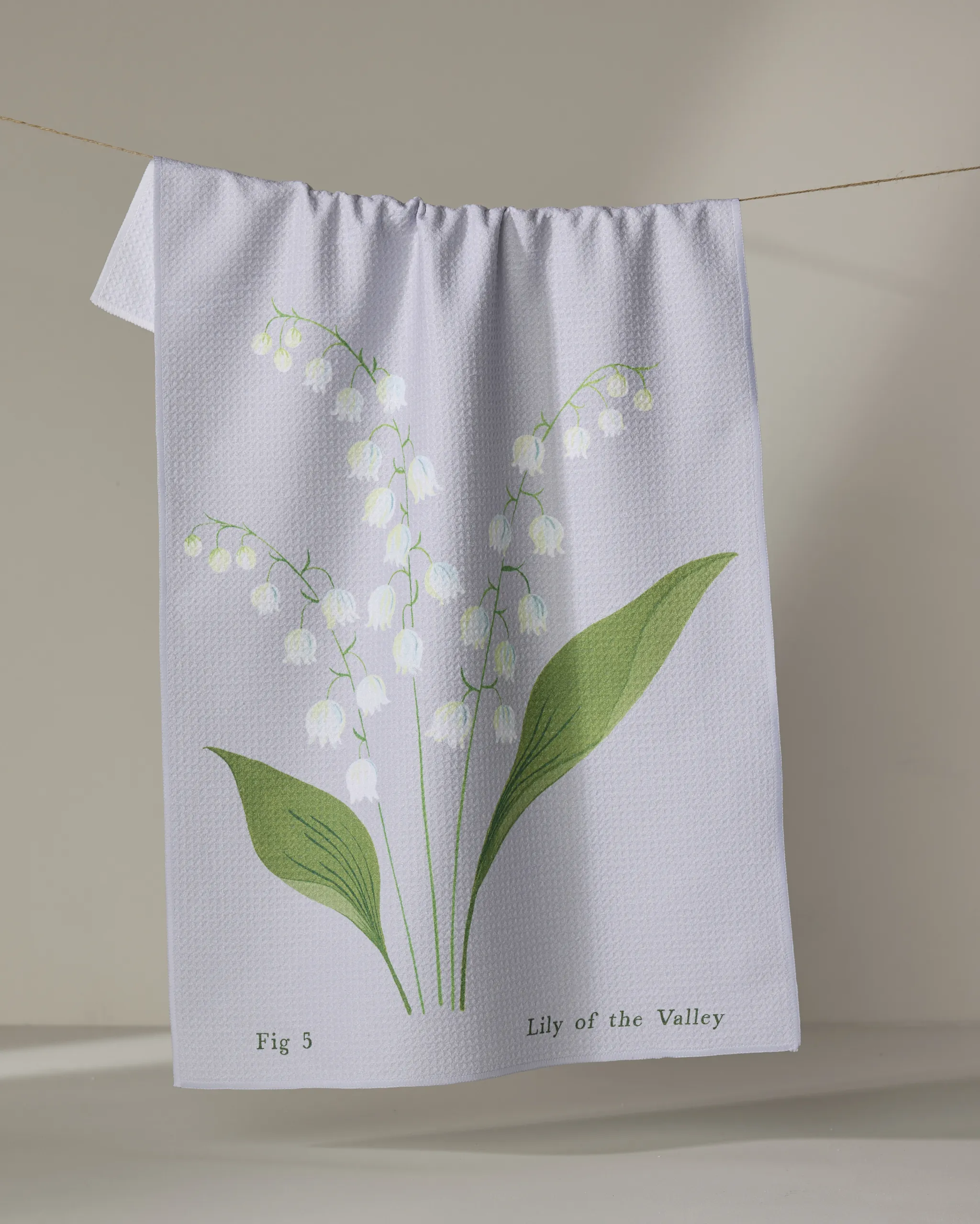 May Lilly Of The Valley