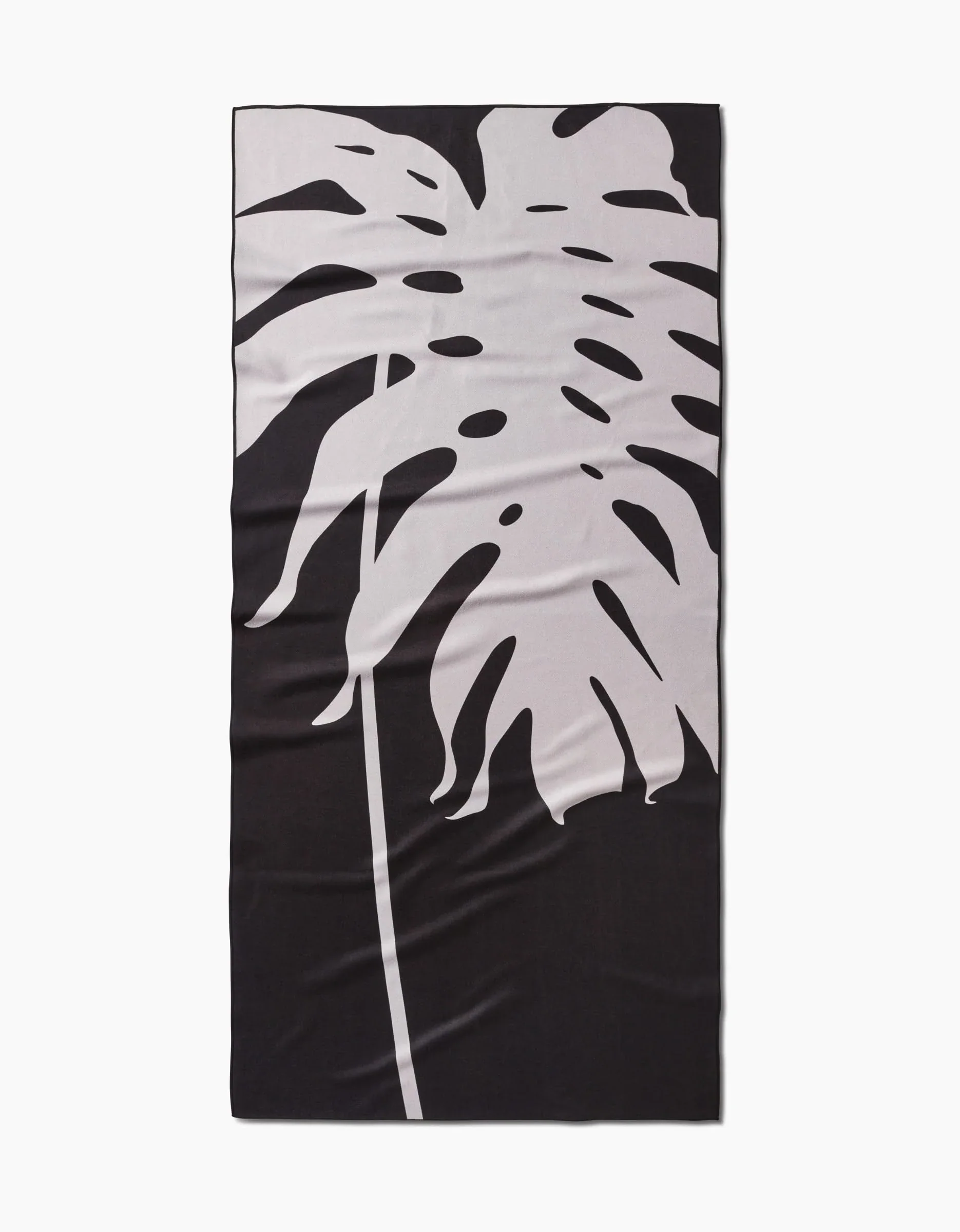 Monstera
