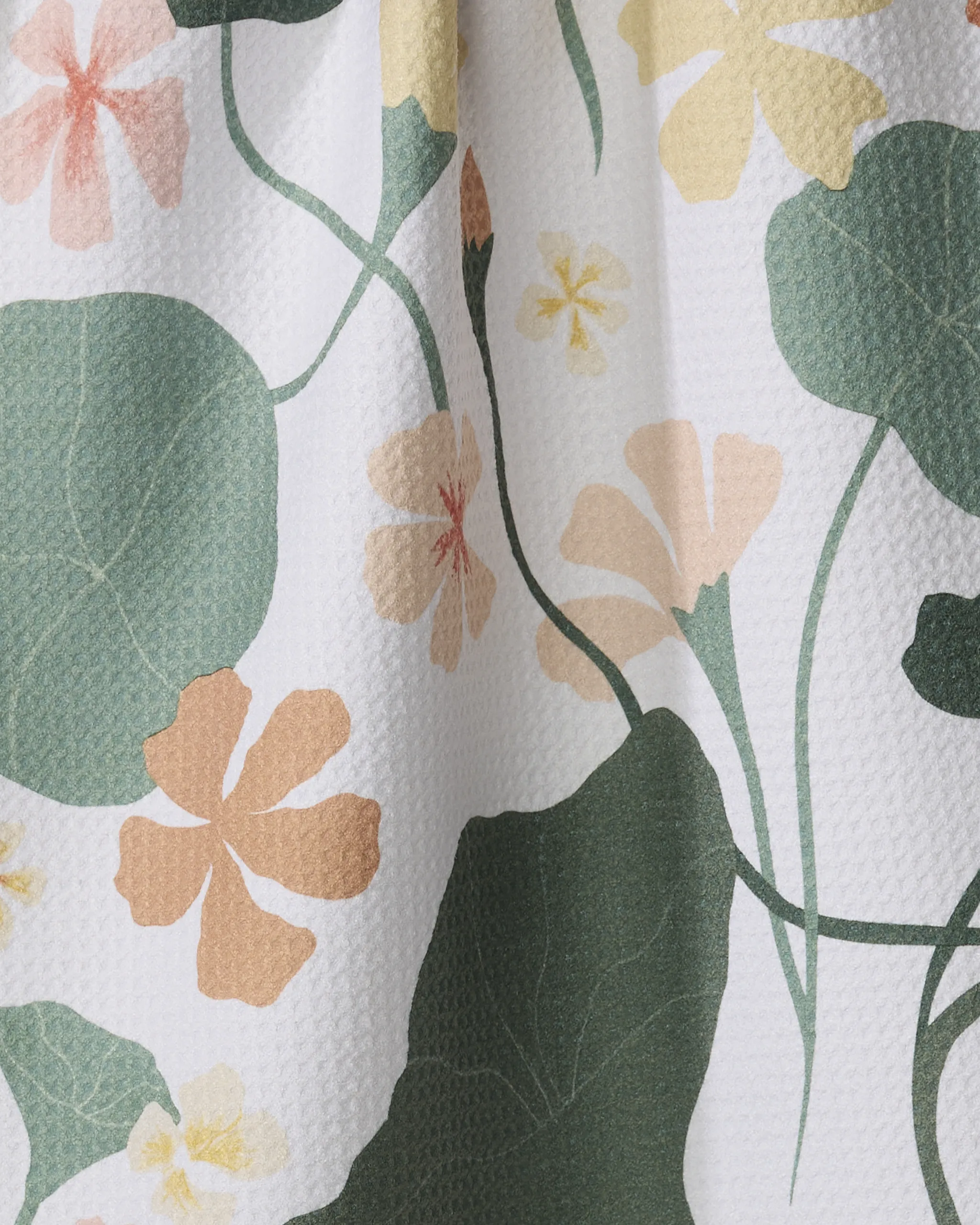 Nasturtiums - Image 2