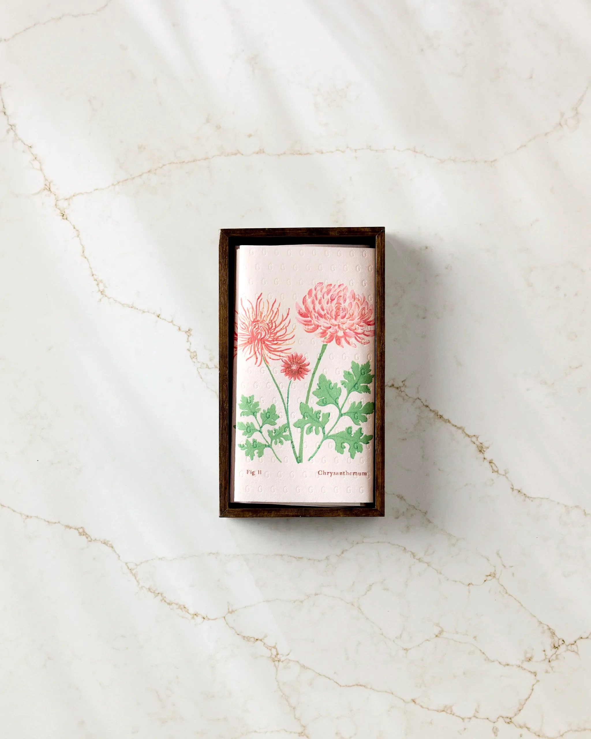 November Chrysanthemum - Image 3