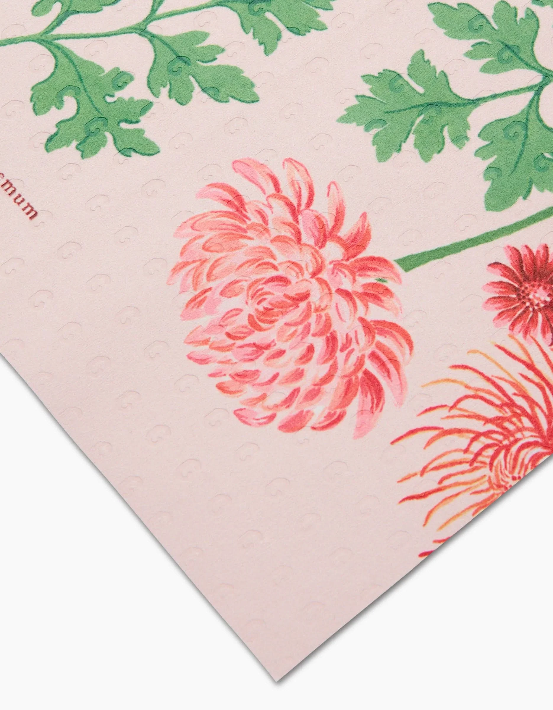 November Chrysanthemum - Image 4