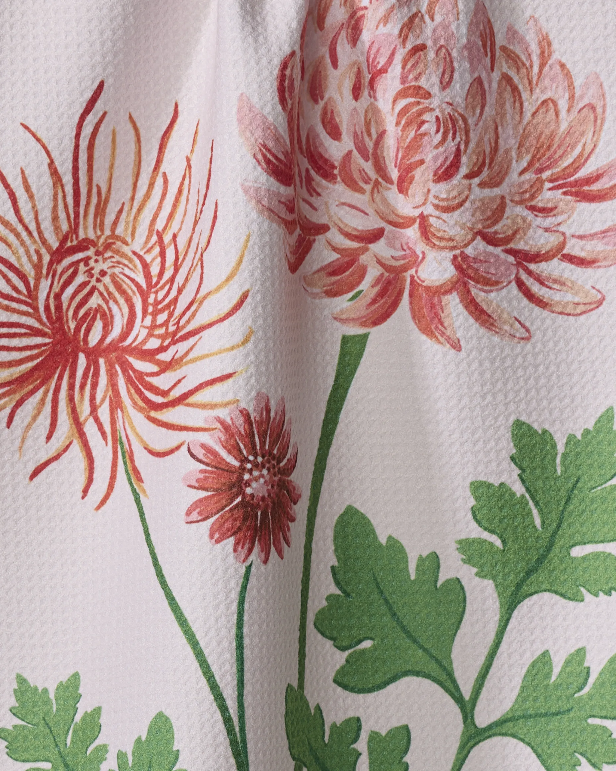 November Chrysanthemum - Image 2
