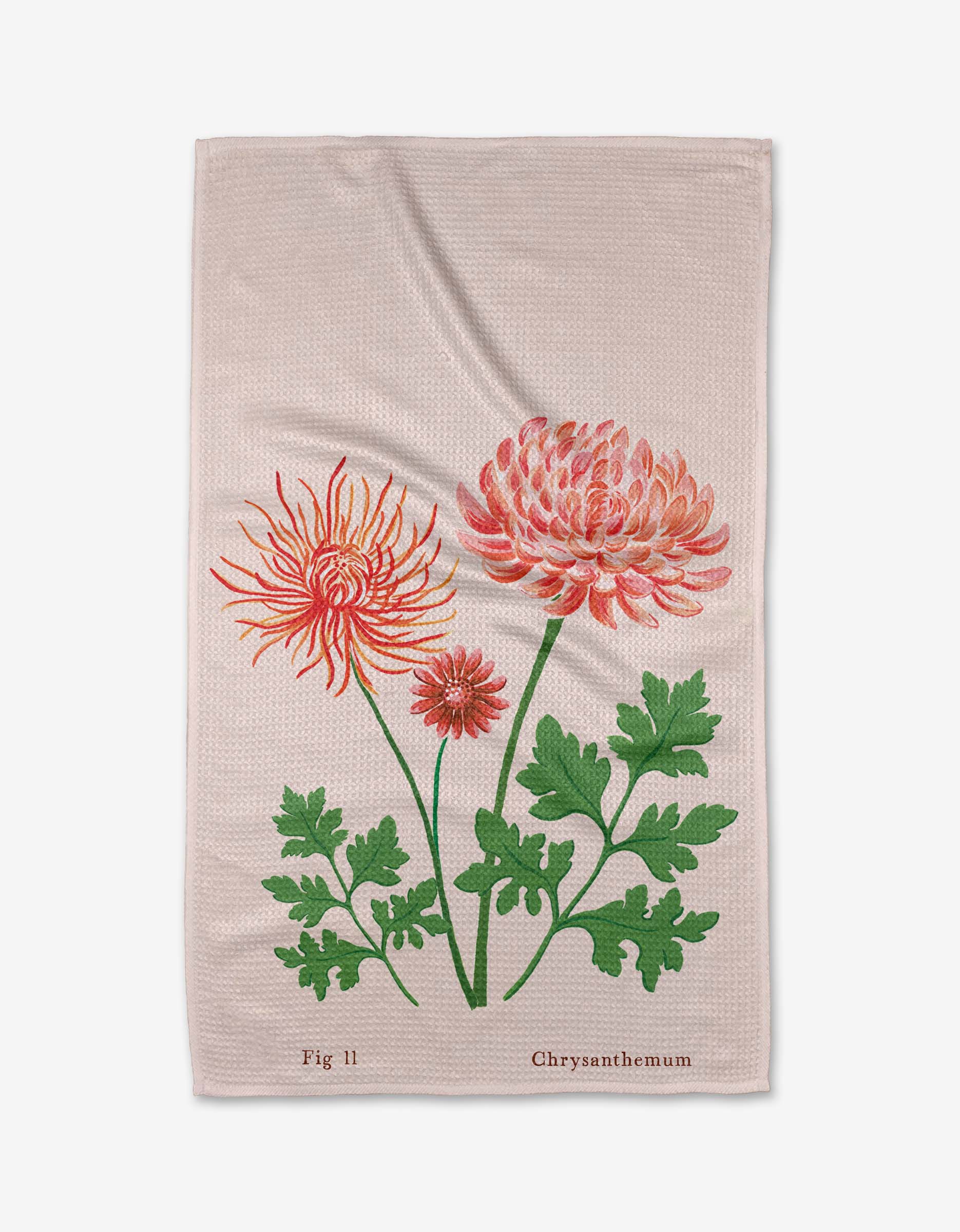 November Chrysanthemum - Image 3