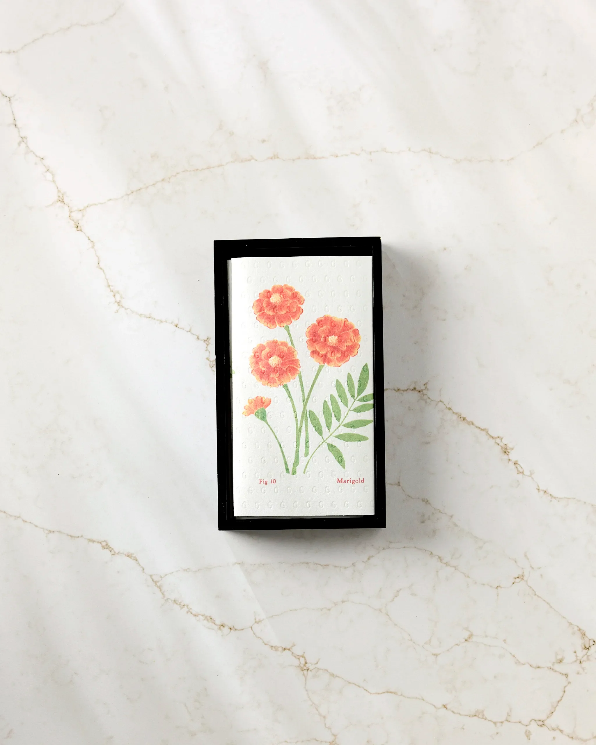 October Marigold - Image 3