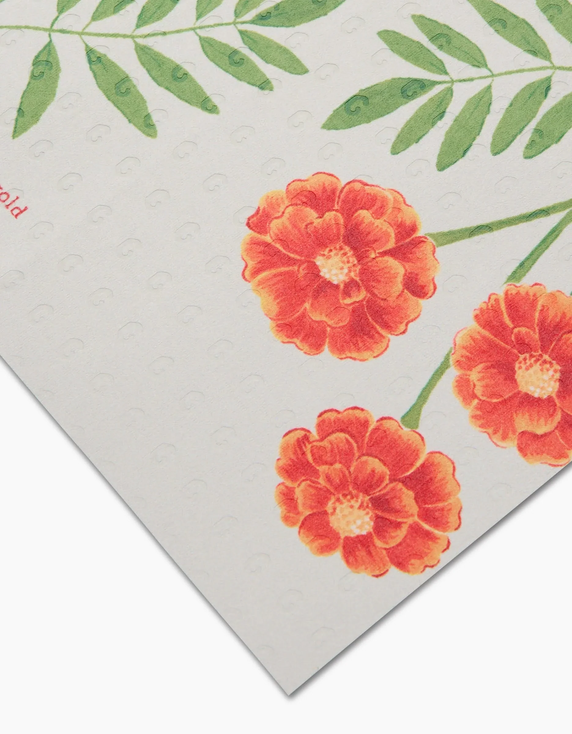 October Marigold - Image 4