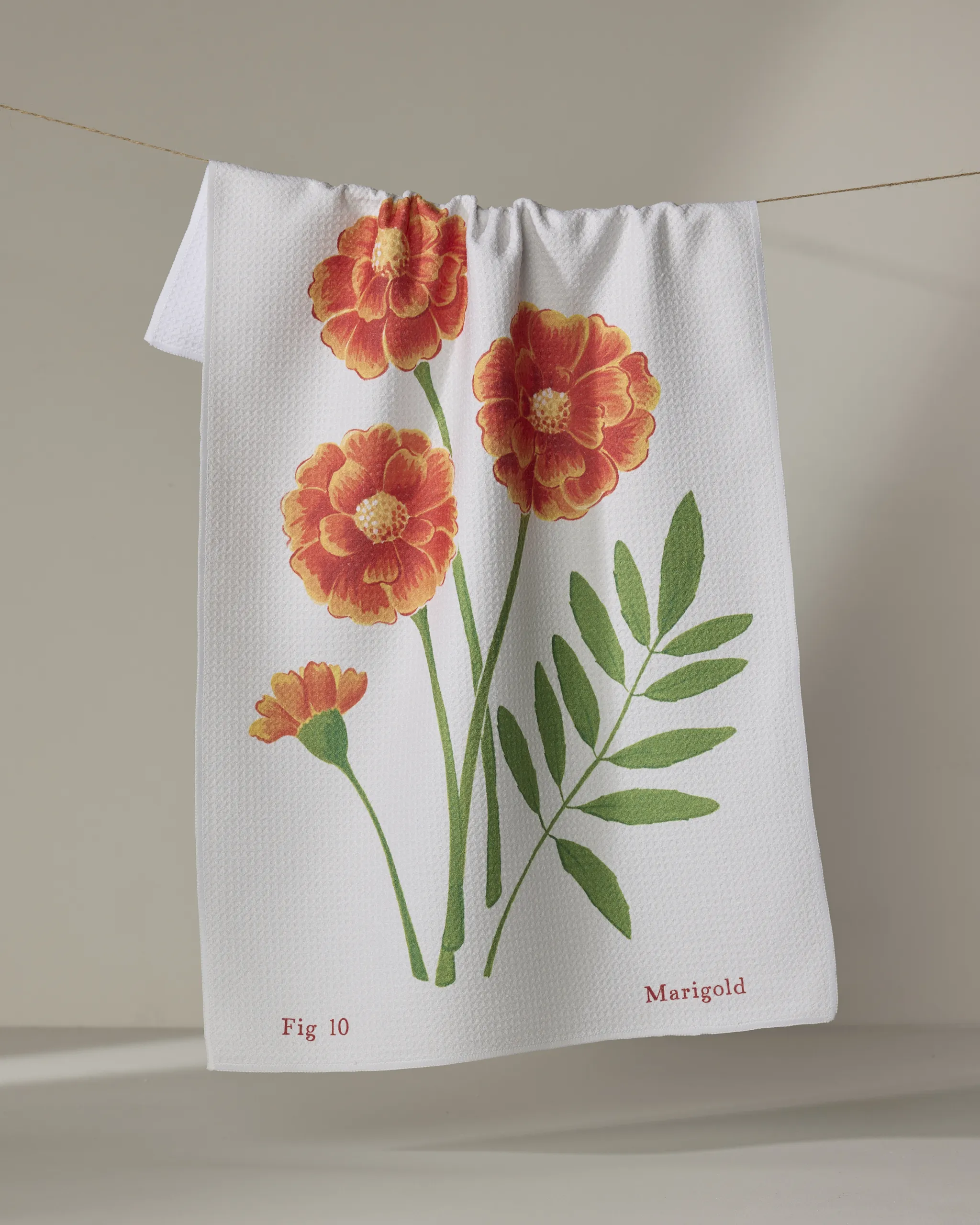 October Marigold