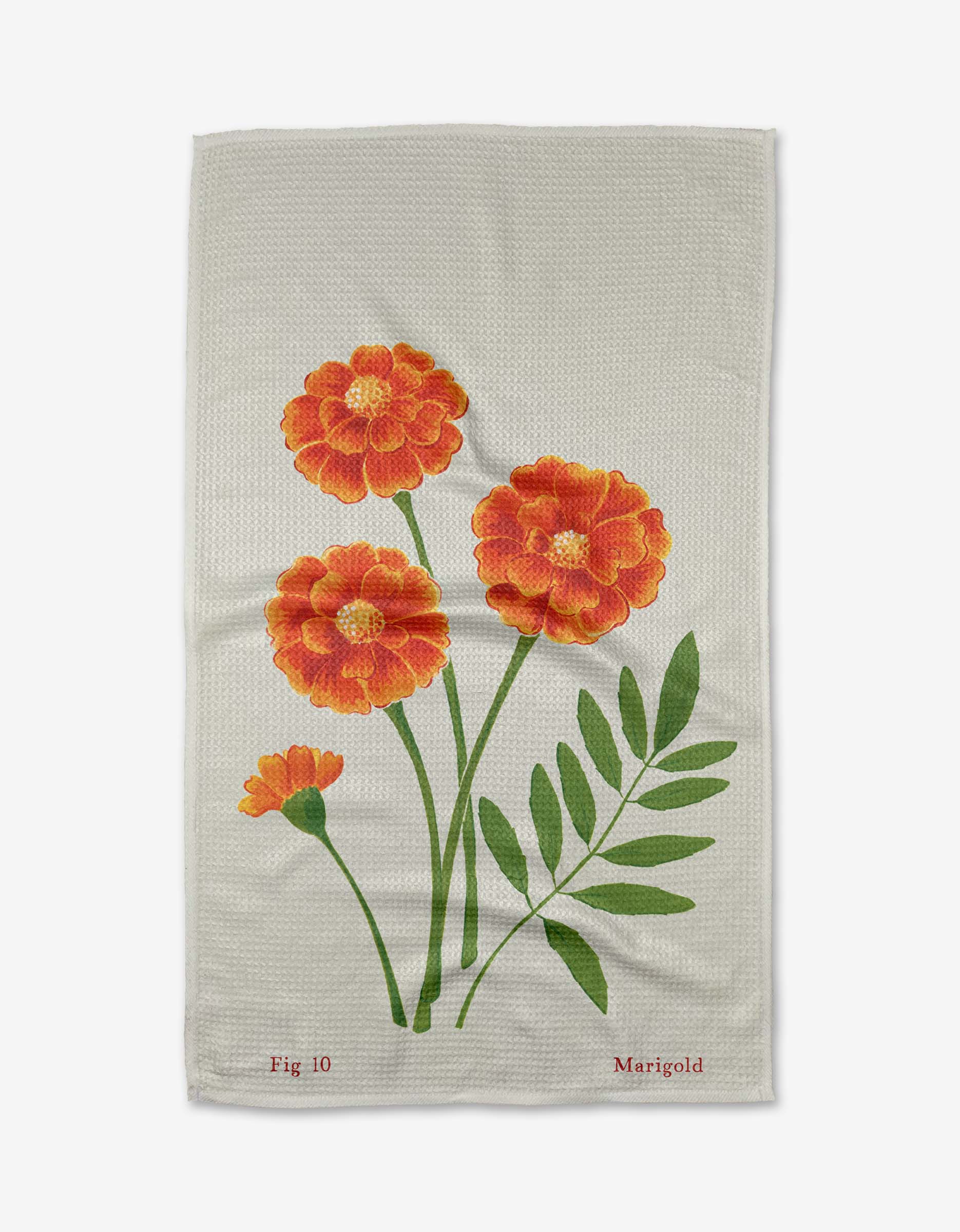 October Marigold - Image 3