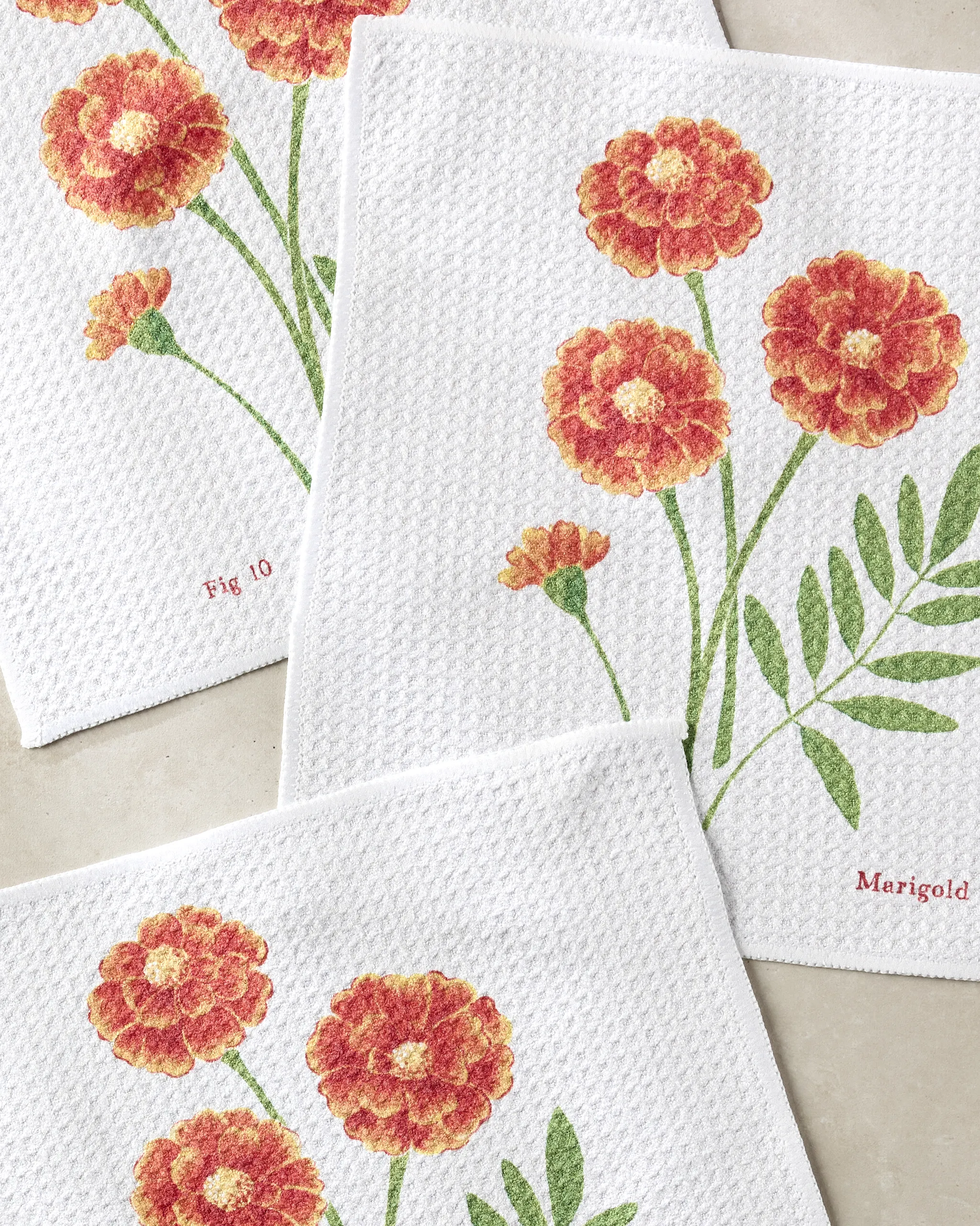 October Marigold - Image 2