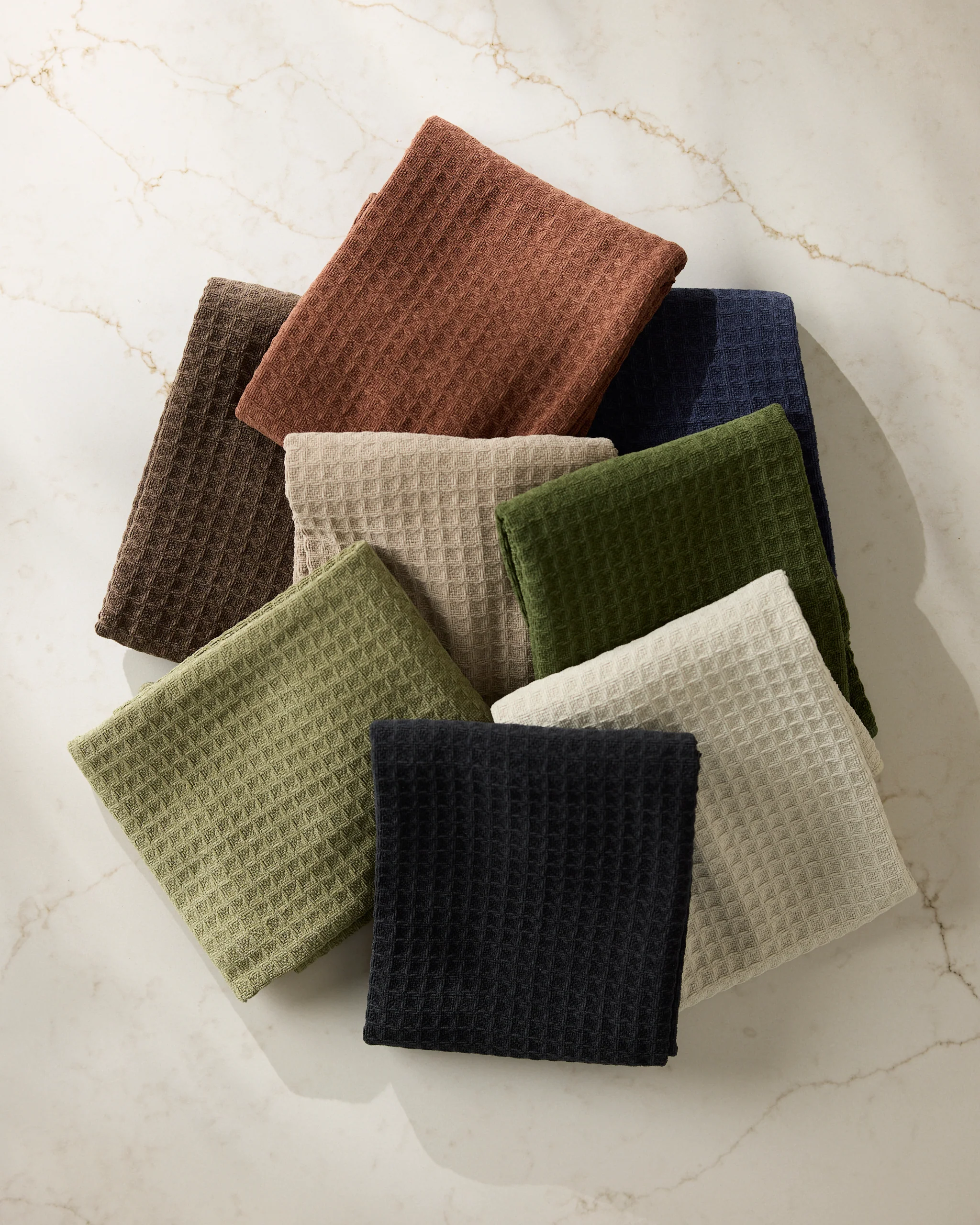 Olive - Image 4