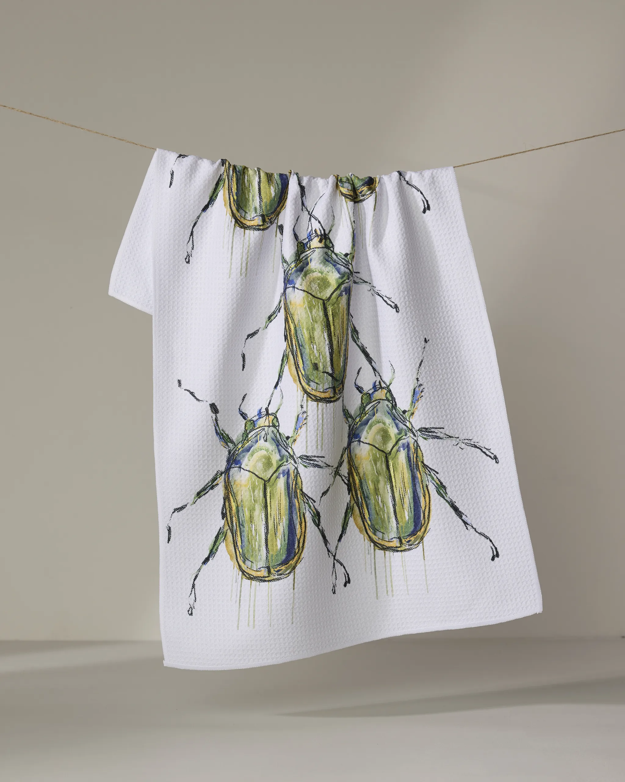 Olive Beetles