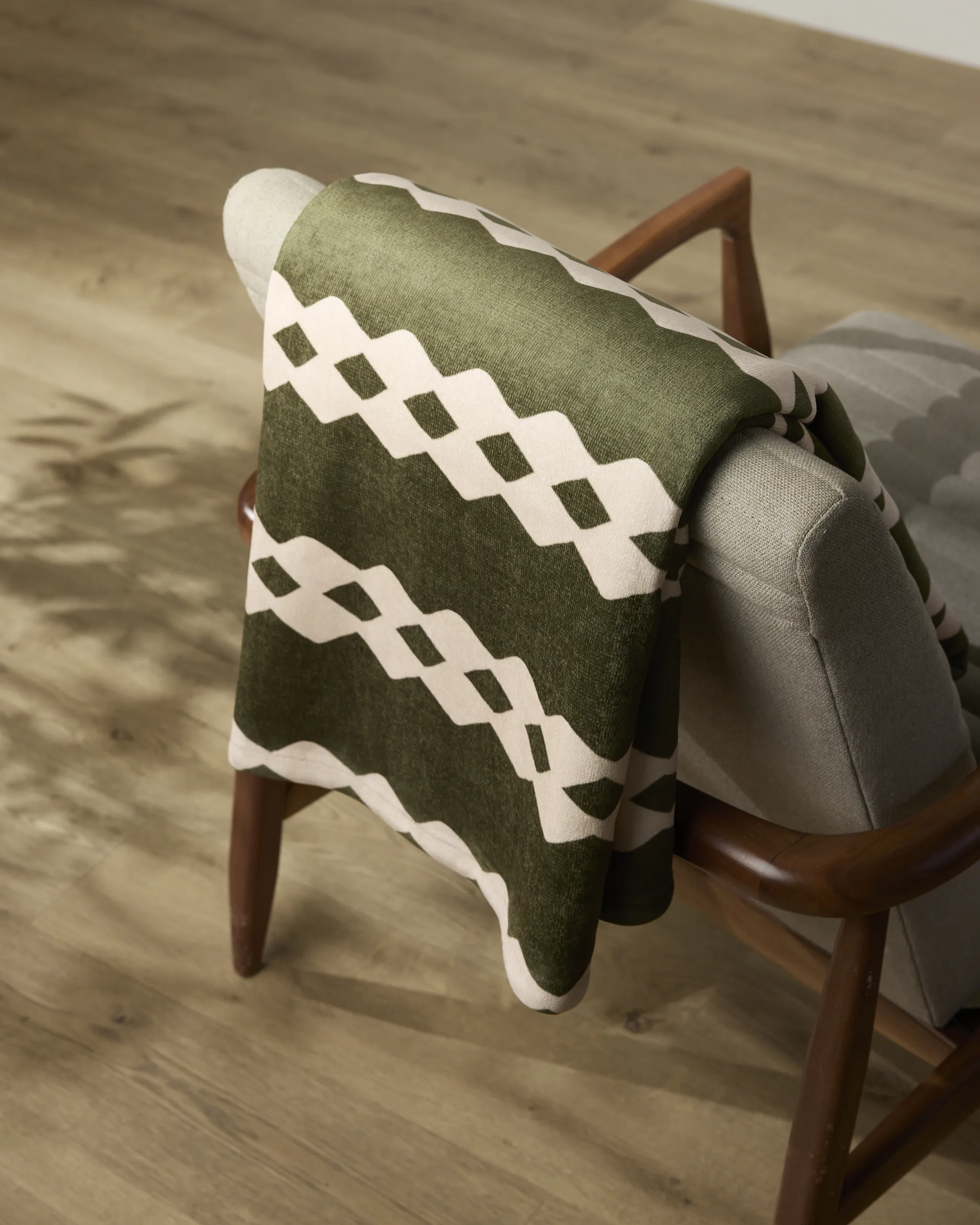 Olive Orchard - Image 3