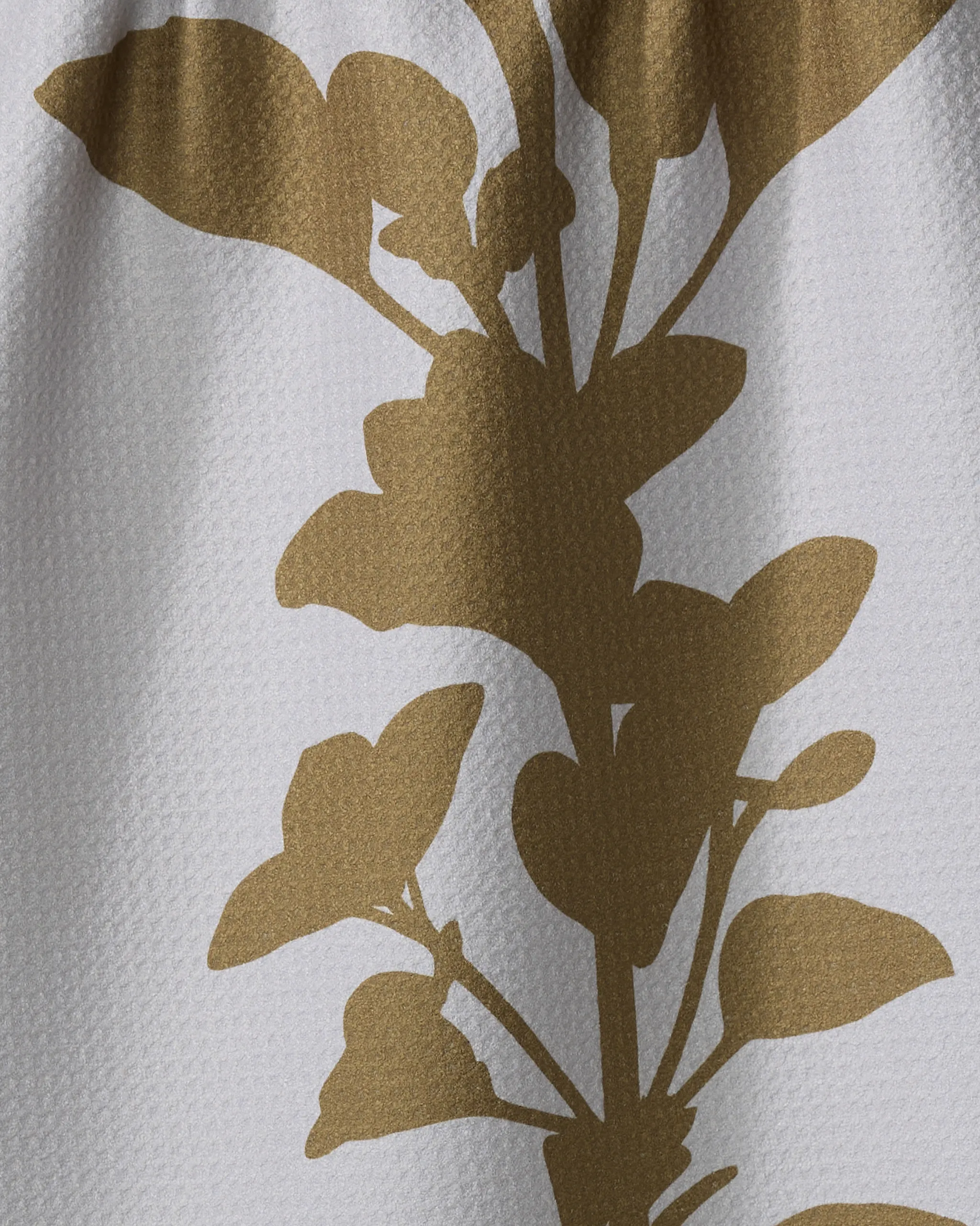 Oregano - Image 2