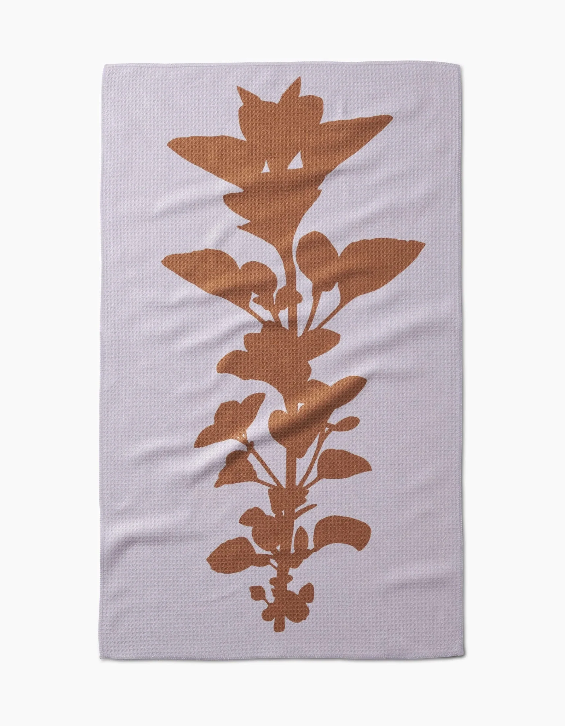Oregano - Image 3