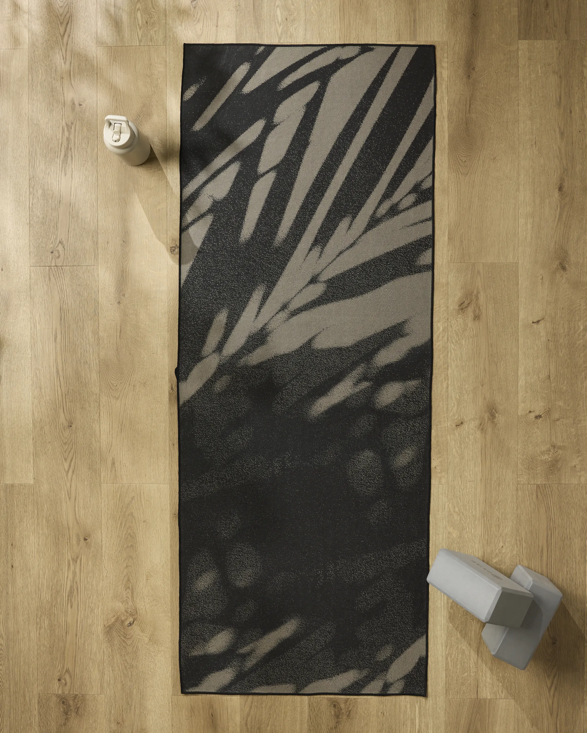Palm Shadow
