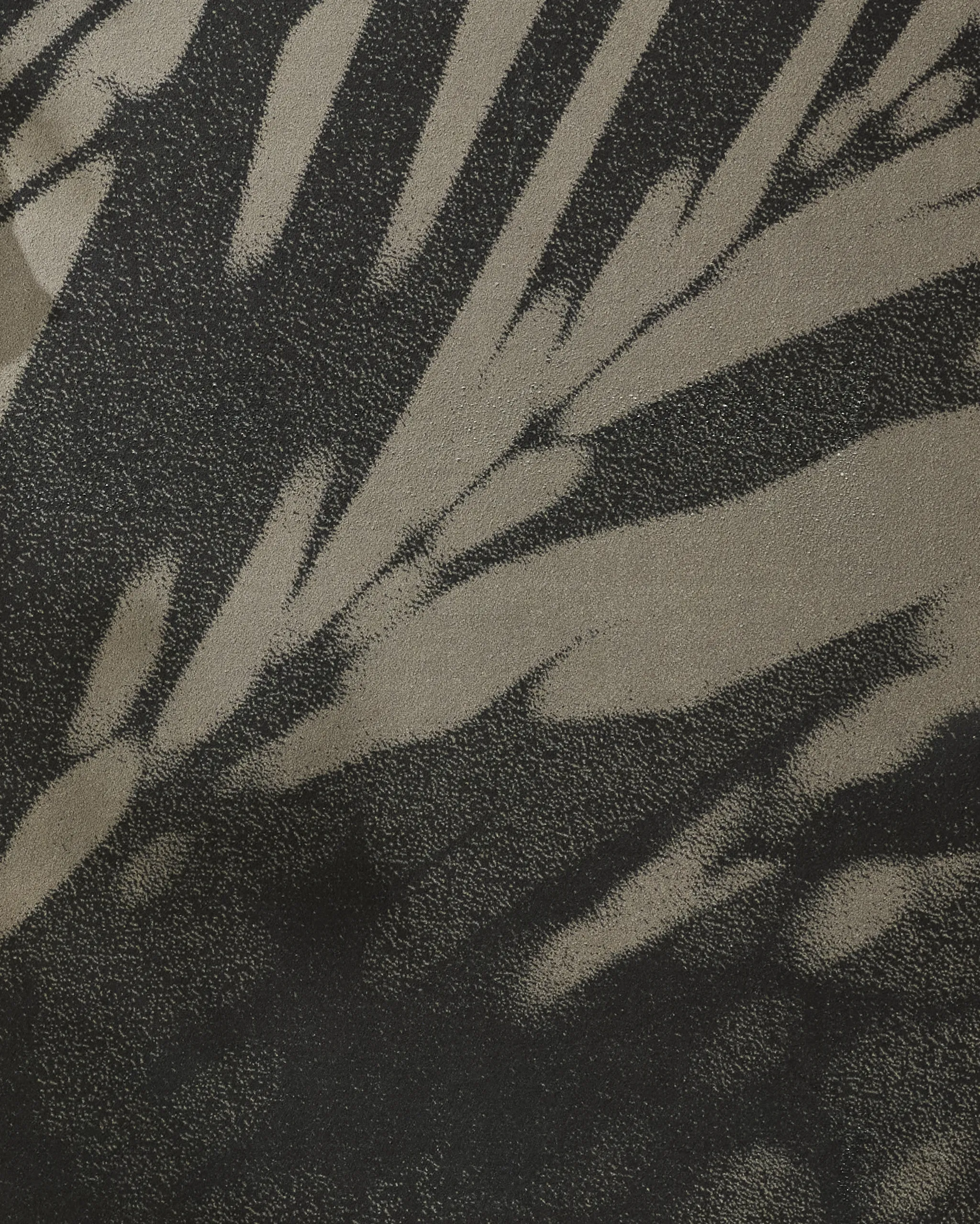 Palm Shadow - Image 2