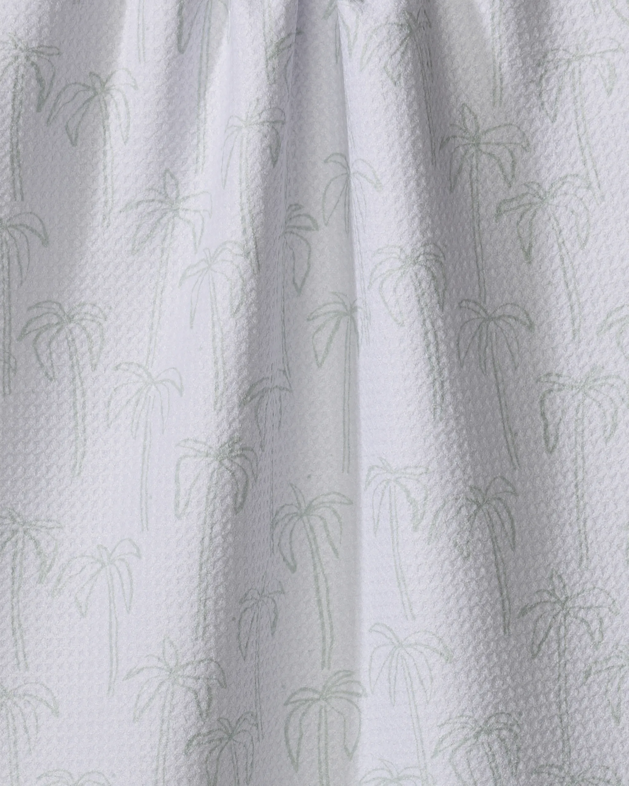 Palms - Image 2