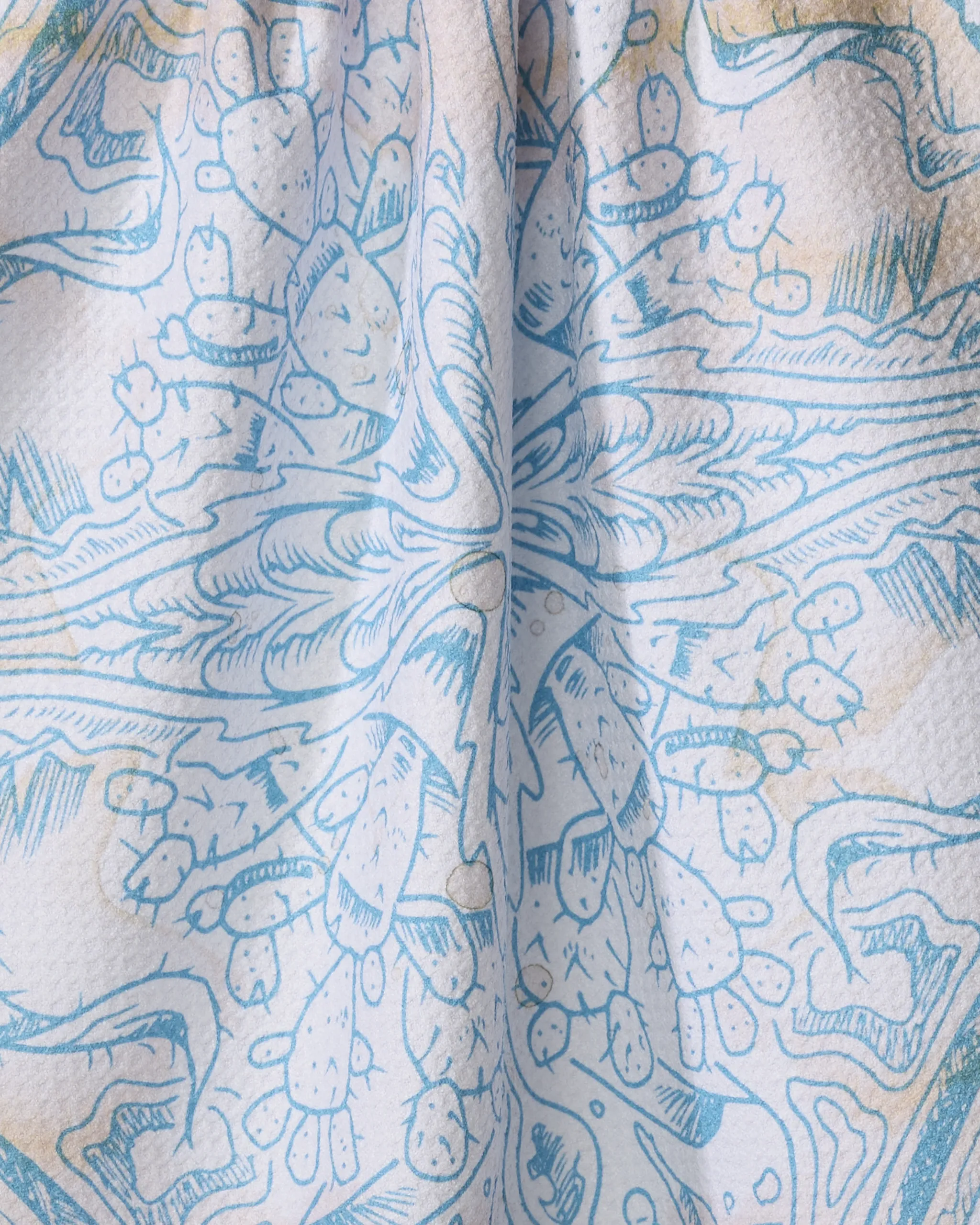 Pelican - Image 2