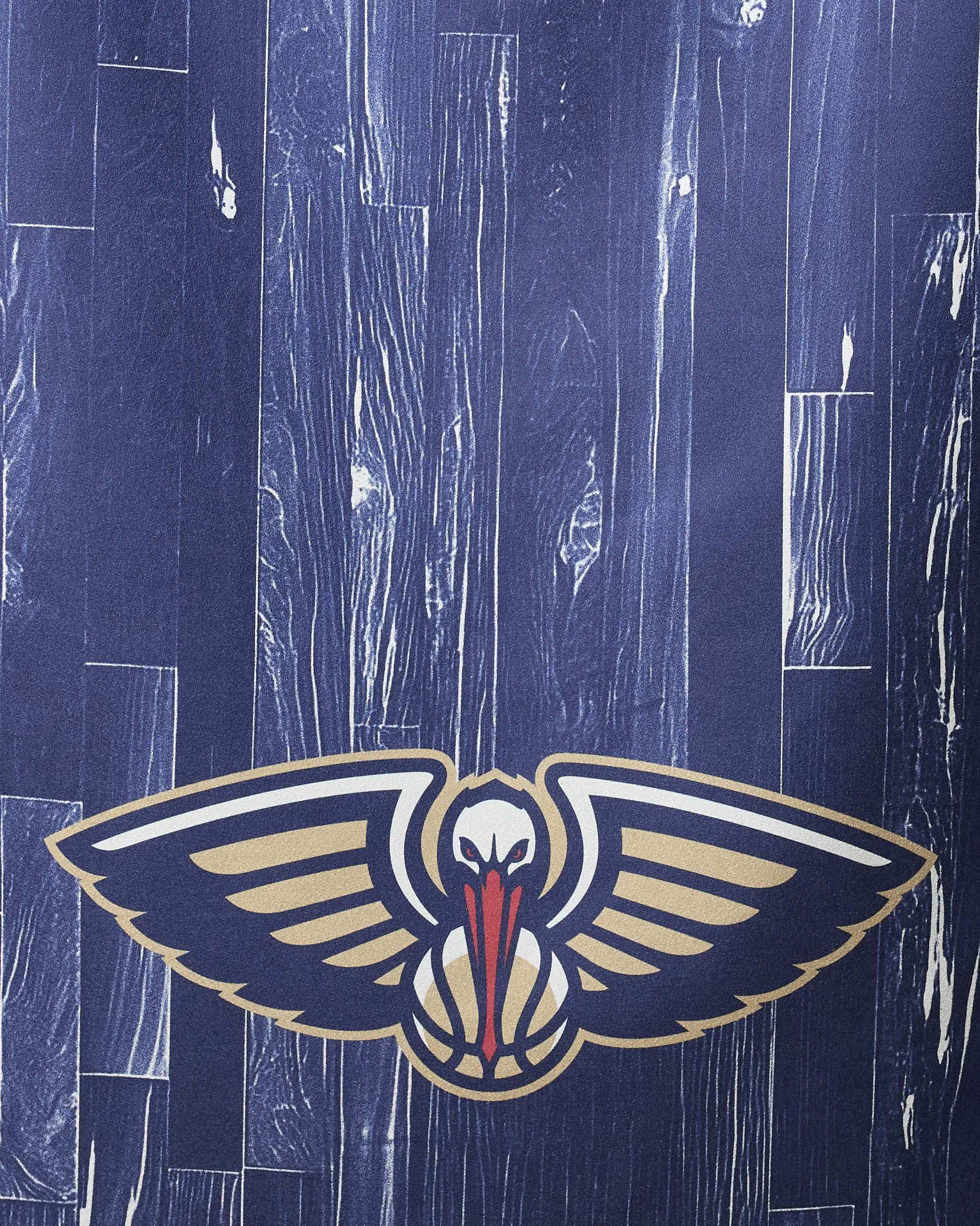 Pelicans Zone - Image 2