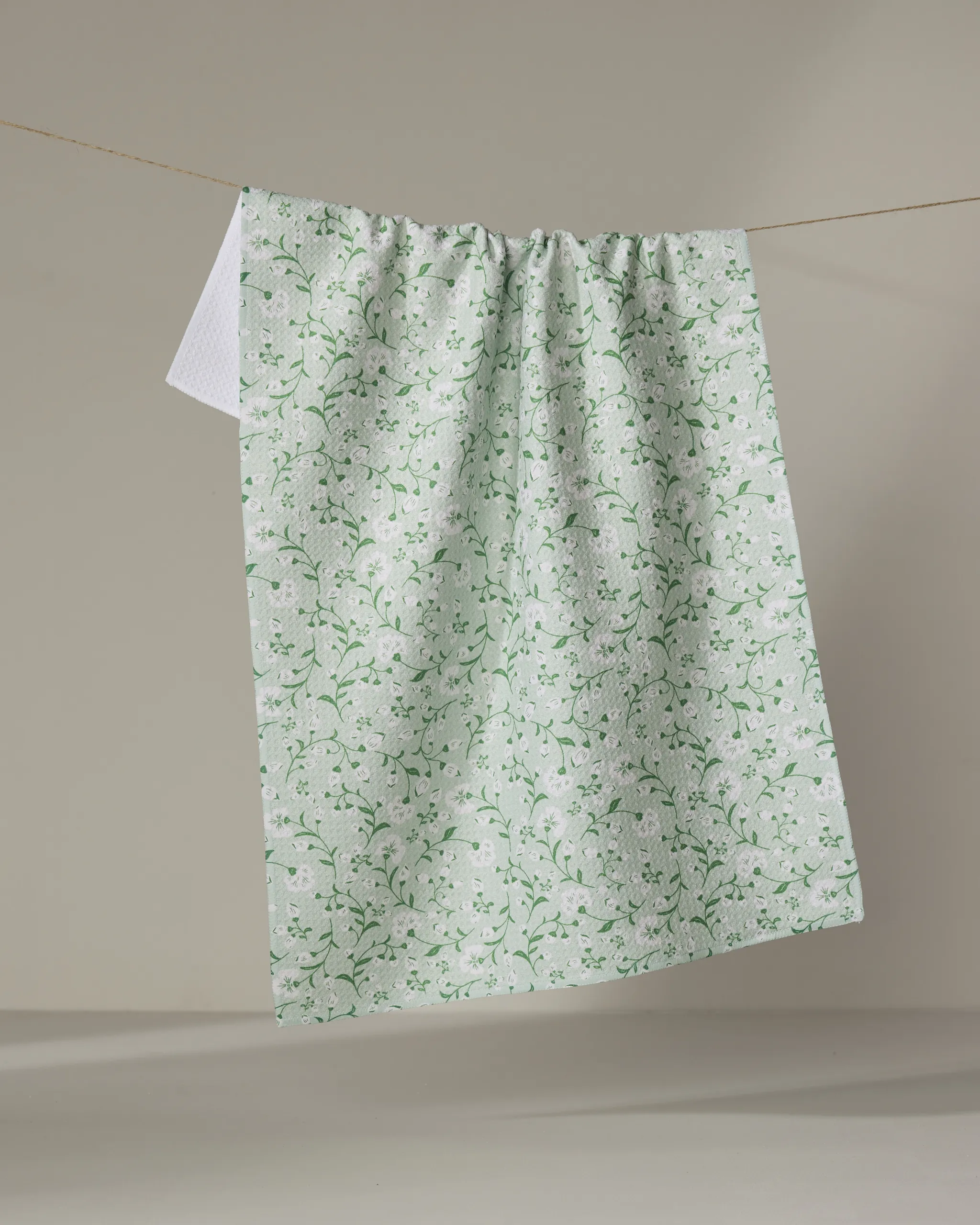 Plumbago Bloom