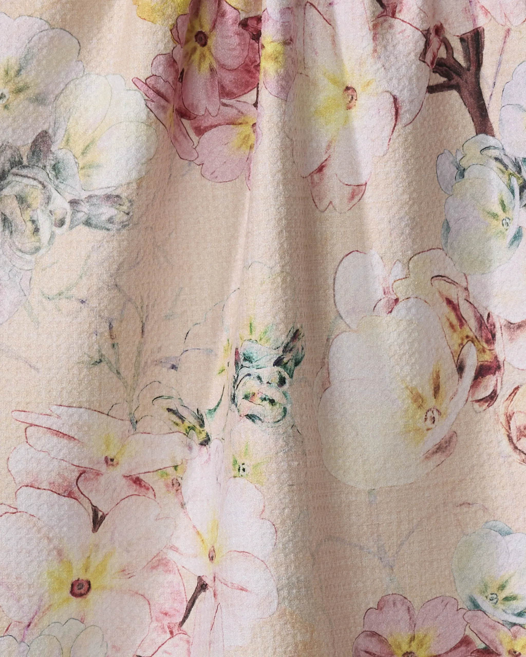 Primroses - Image 2