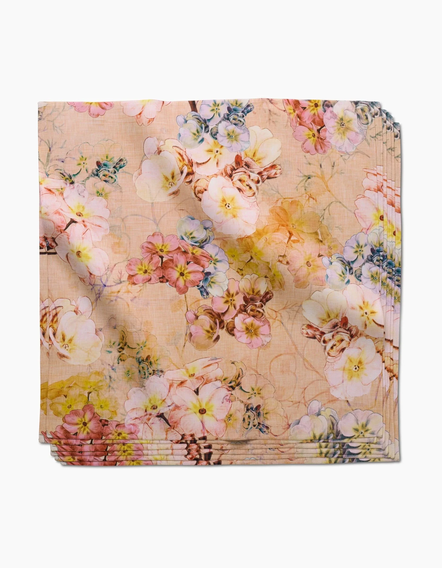 Primroses - Image 4